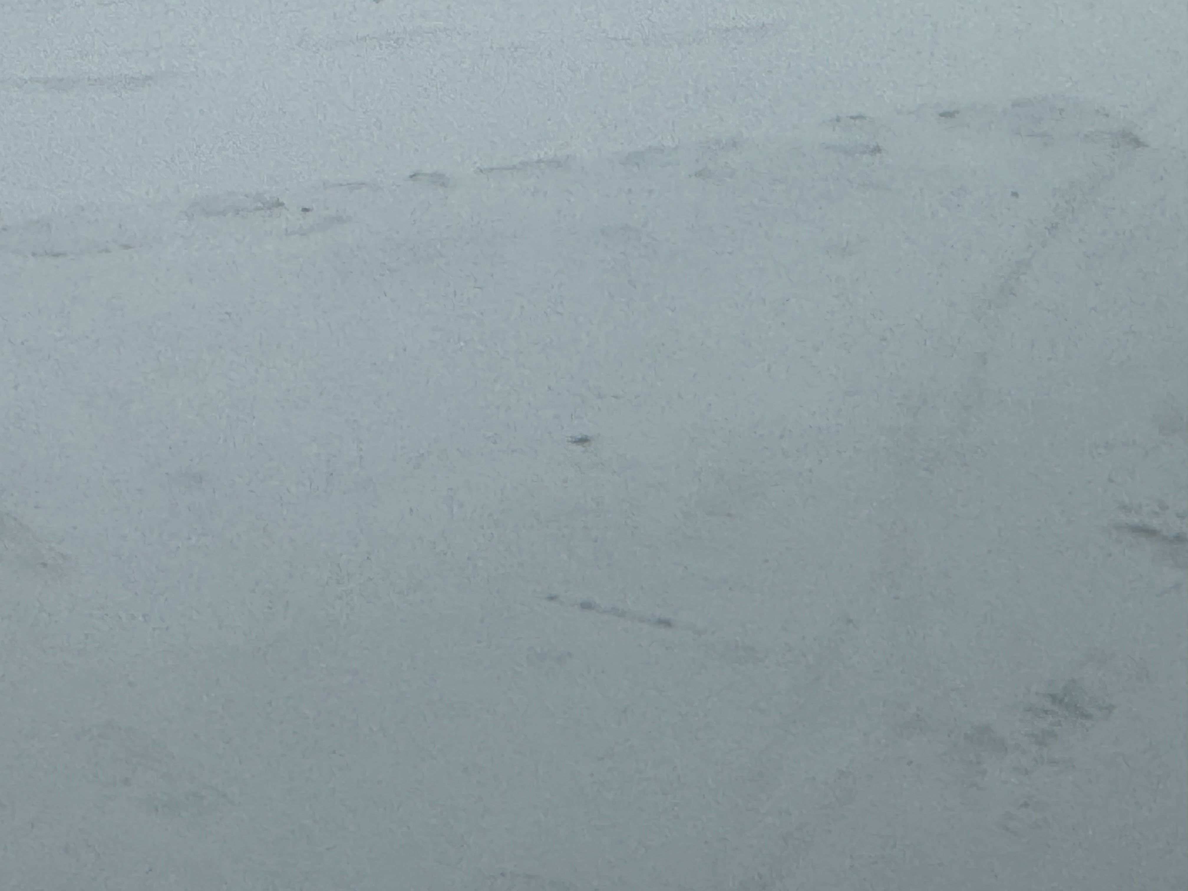 每日一善  雪：天地间的素色诗篇当寒风褪去最后一丝躁意，天空便开始酝酿一场静默的