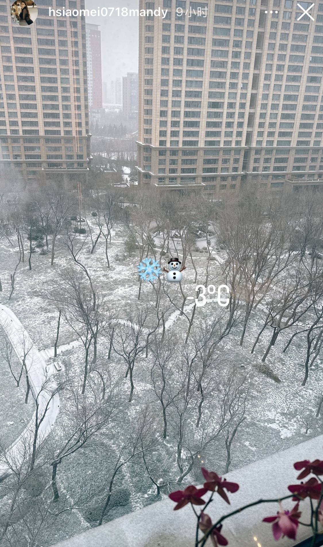 北京下雪了，马筱梅晒出自家豪宅楼下的雪景 