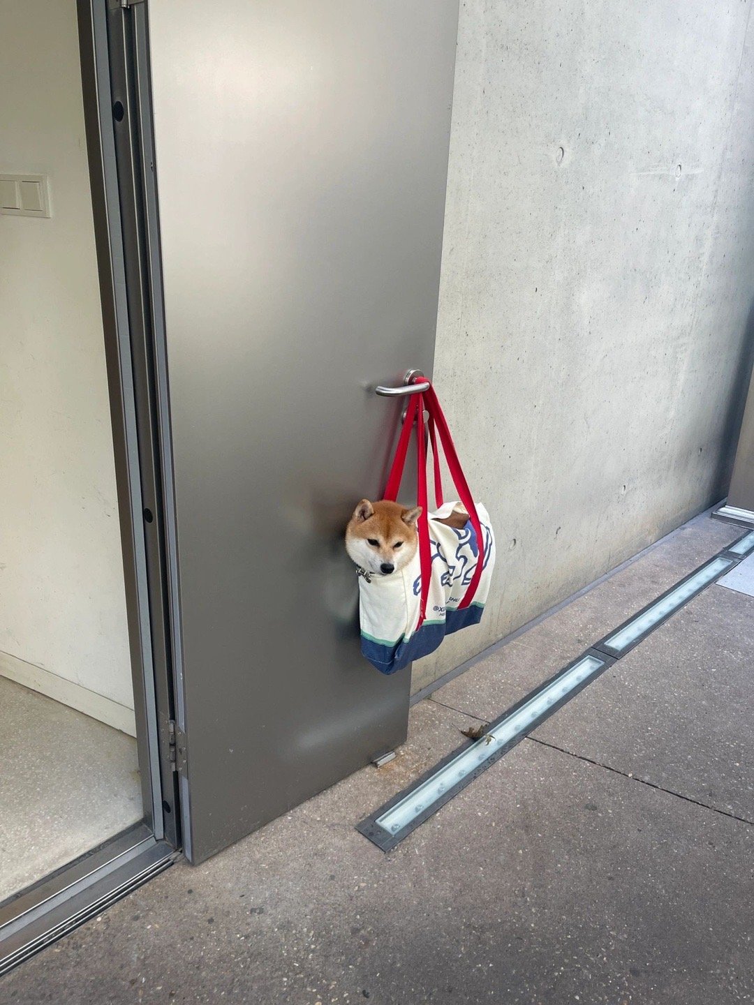 上个厕所变打卡点了 ​​​