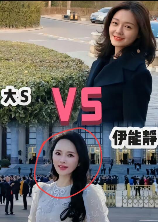 对比了S和伊能静，同样是再婚，剧本全不同