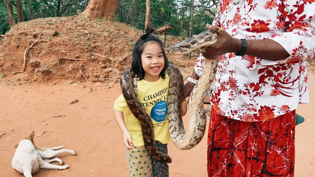 在狮子岩脚下🐍遇上了蛇艺人，眼镜蛇表演➕大蟒蛇挂脖…旺仔体验到了几个大人站在旁