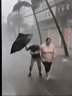 其实这么大的风，不打伞还好点[捂脸]