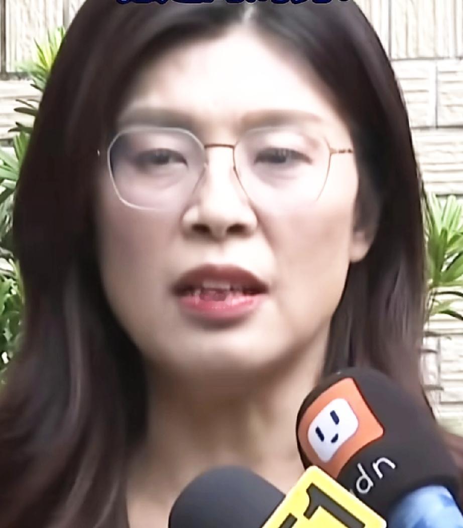 即评，国民党前干部：郑丽文提出“我是中国人”论述，能打破两岸敌意螺旋

网友:郑