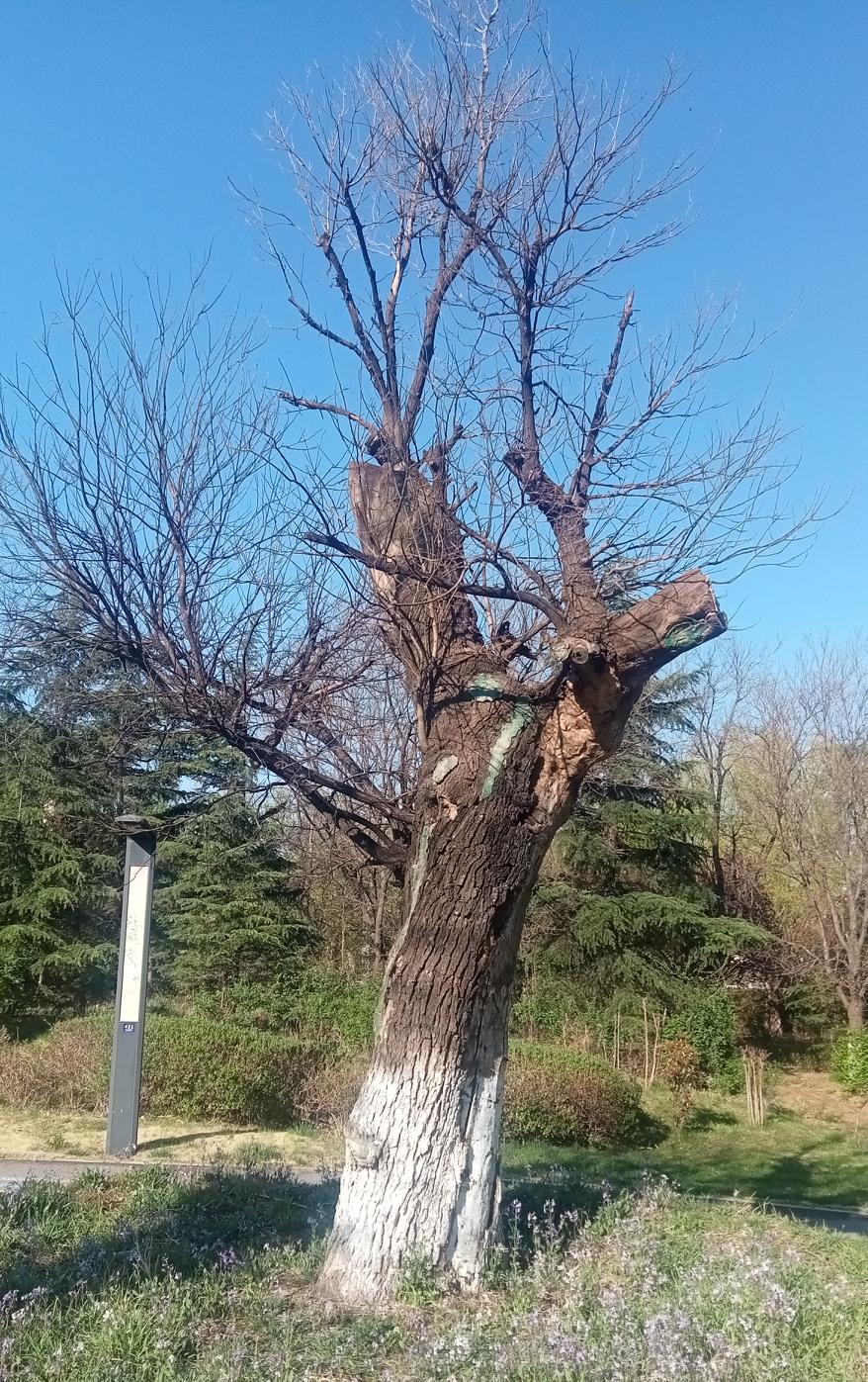 掠夺、霸凌，美国是世界和平稳定的麻烦制造者，是破坏国际法的始作俑者。例如，它公然