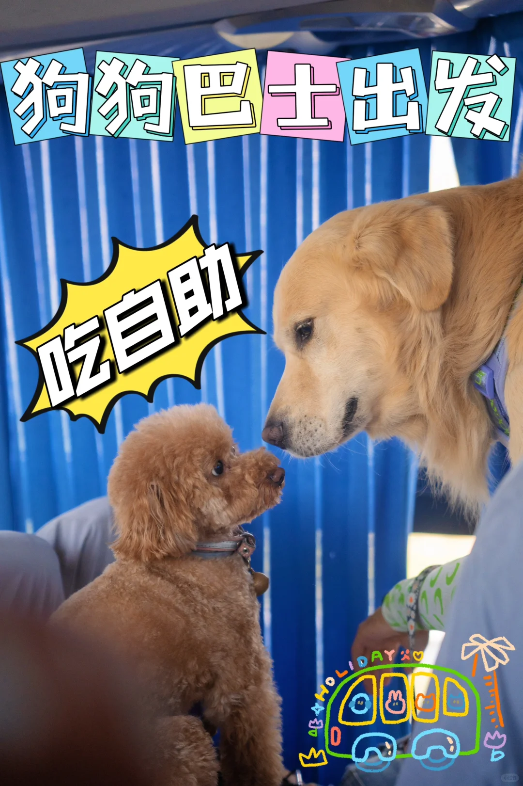 狗狗巴士出发|带你吃垮宠物自助餐厅