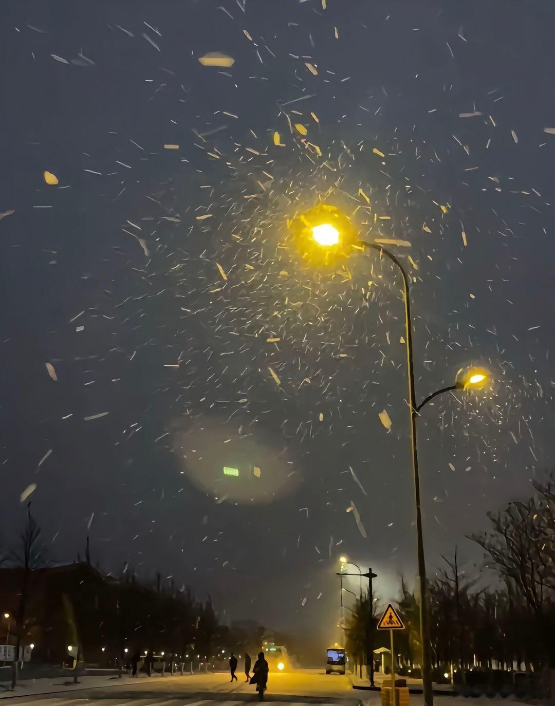 我向来是不爱冬天的，嫌它冷得刻薄。但见了这雪，倒也生出几分宽容。它覆盖了泥泞，遮