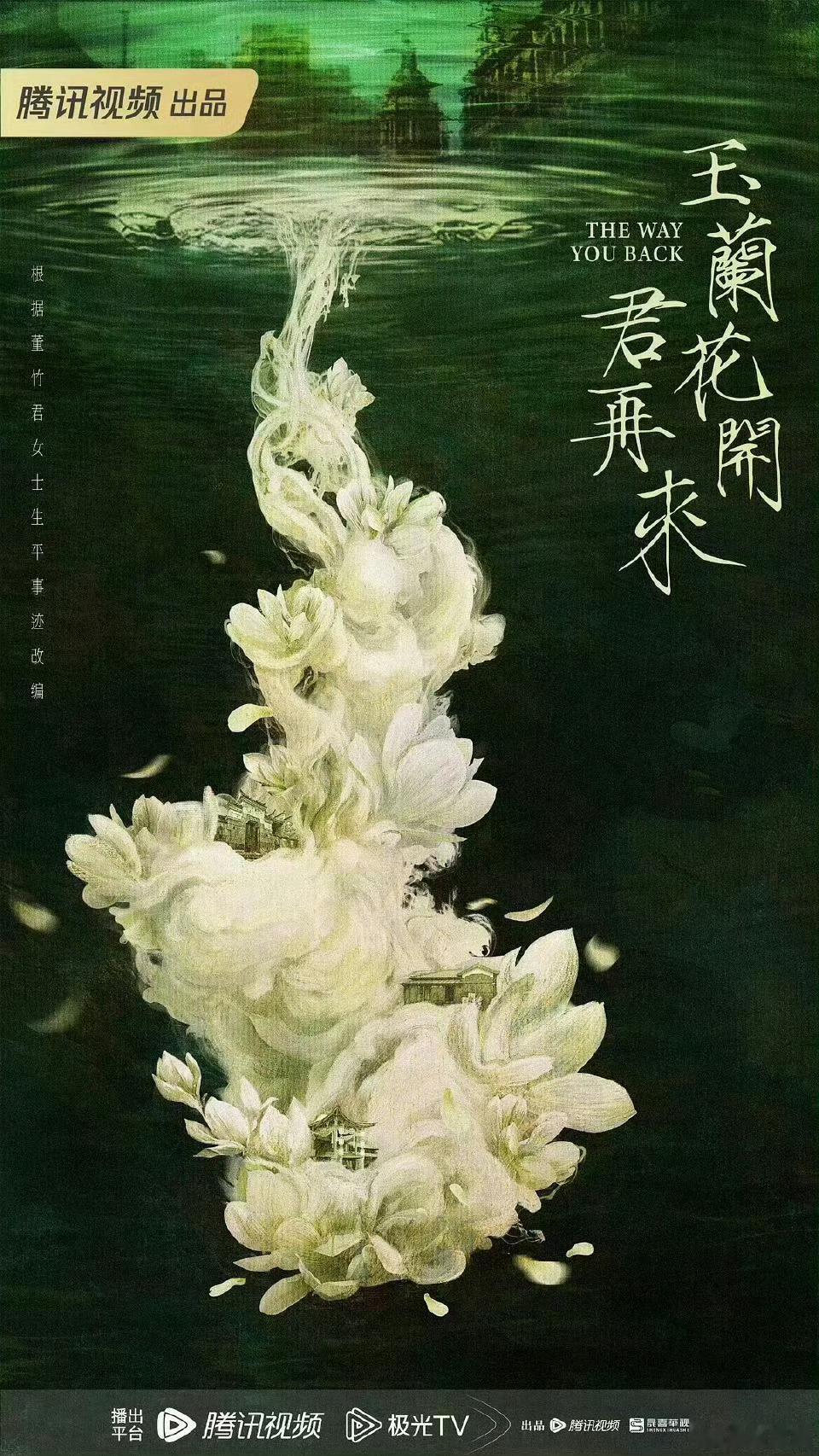 🍉《玉兰花开君再来》杨紫 ​​​