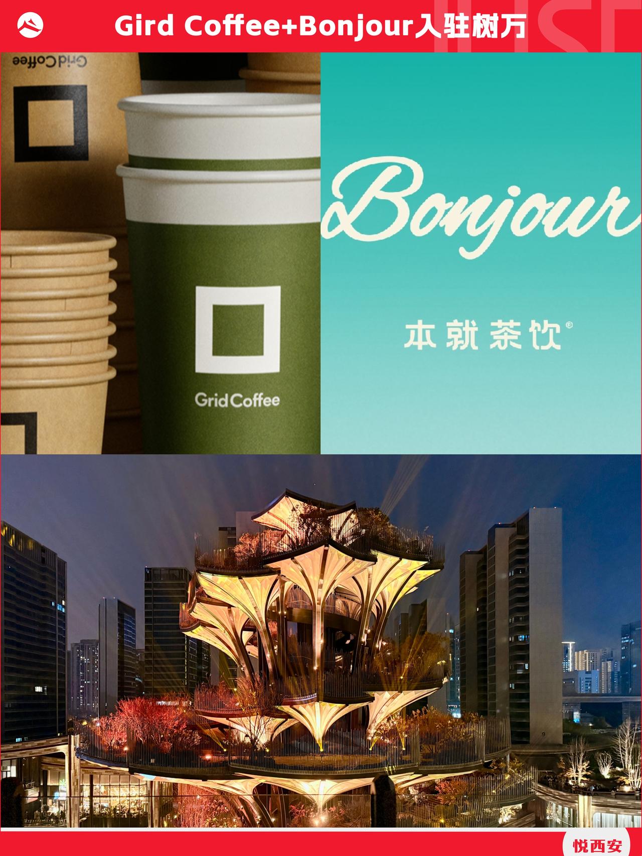 拿捏咖啡+茶脑袋，精品咖啡「Grid Coffee」与苏州奶茶之光「Bonjou