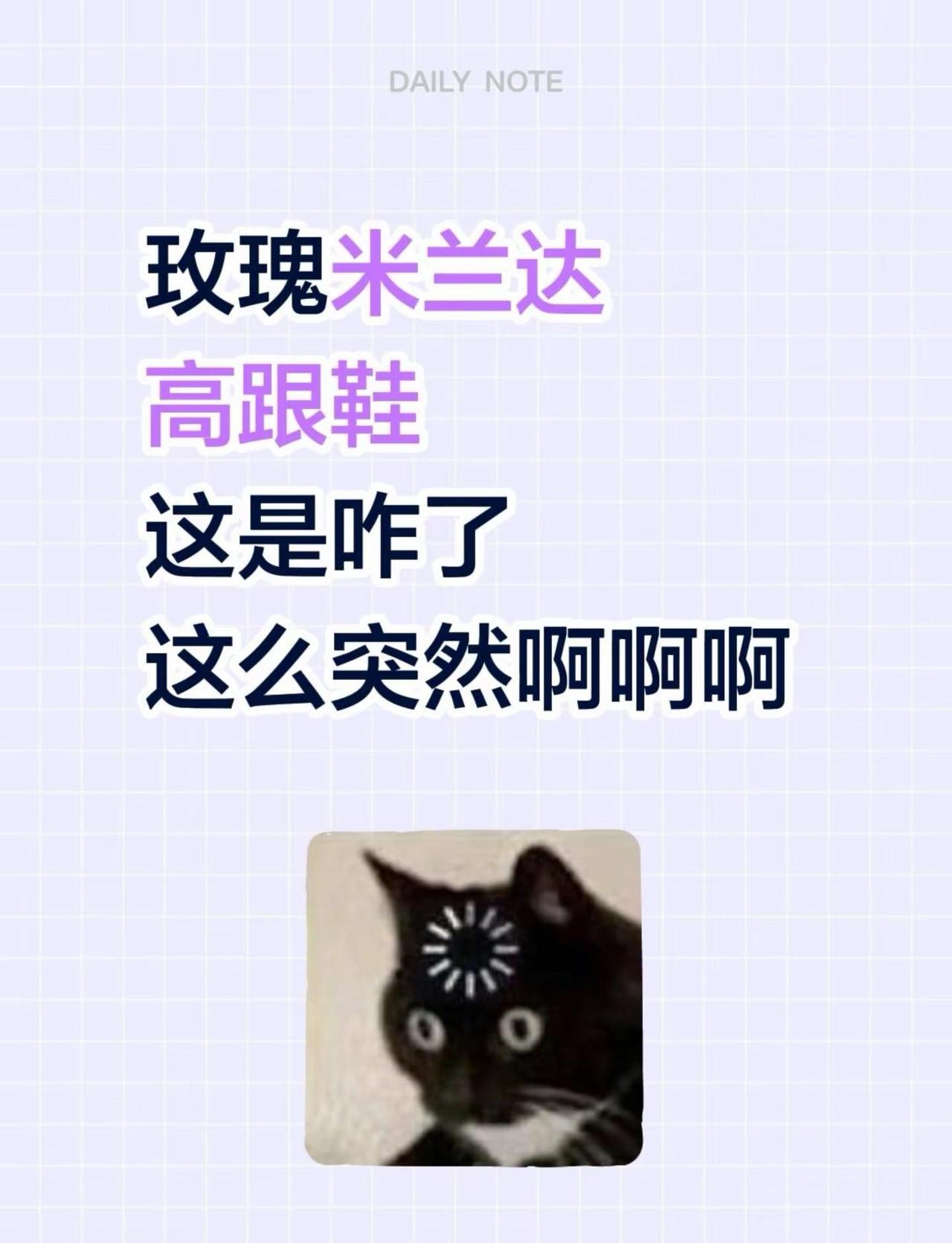 玫瑰米兰达高跟鞋这是咋了这么突然啊啊啊rosemiranda高跟鞋 rosemi