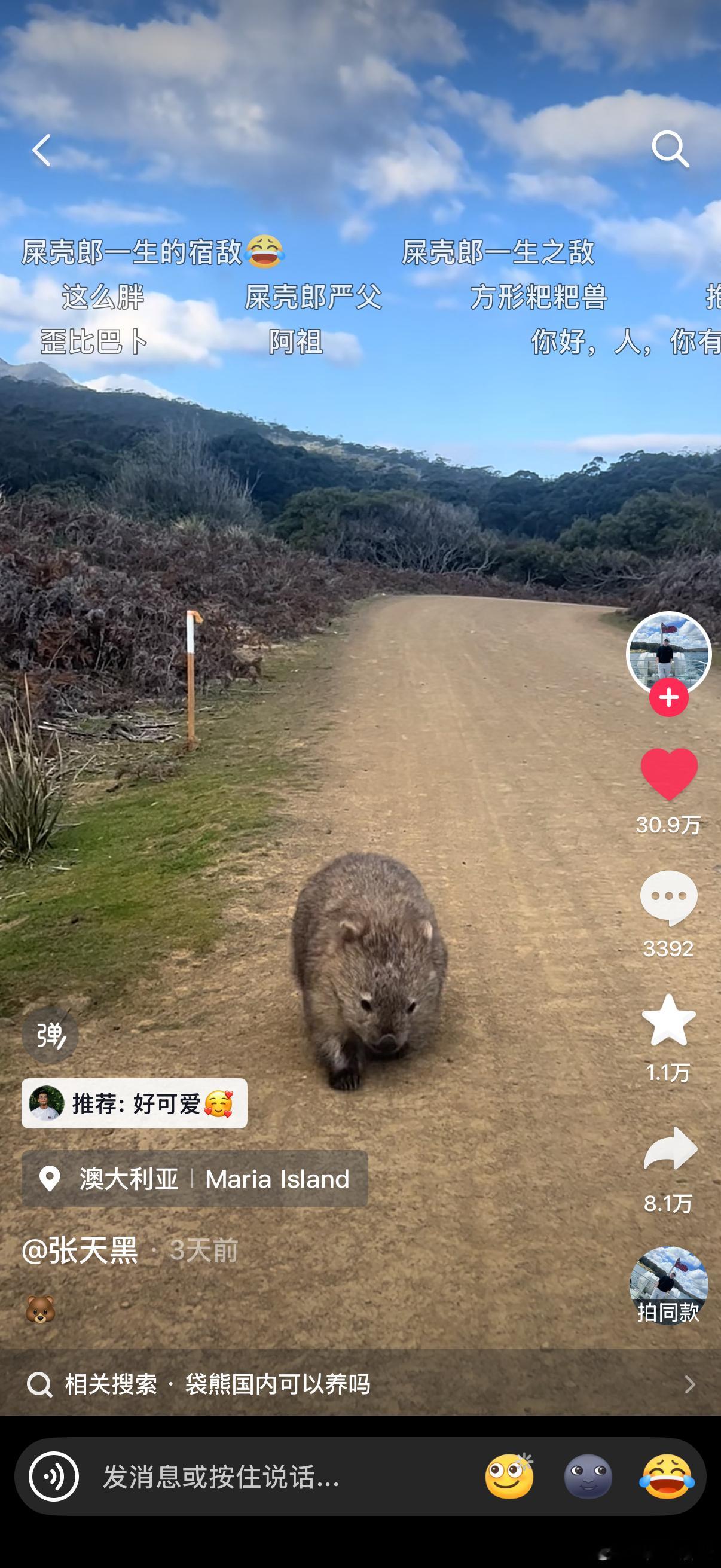 啊啊啊啊啊，我一定要去澳洲看袋熊🐻！！！怎么会有这么可爱的宝宝啊 