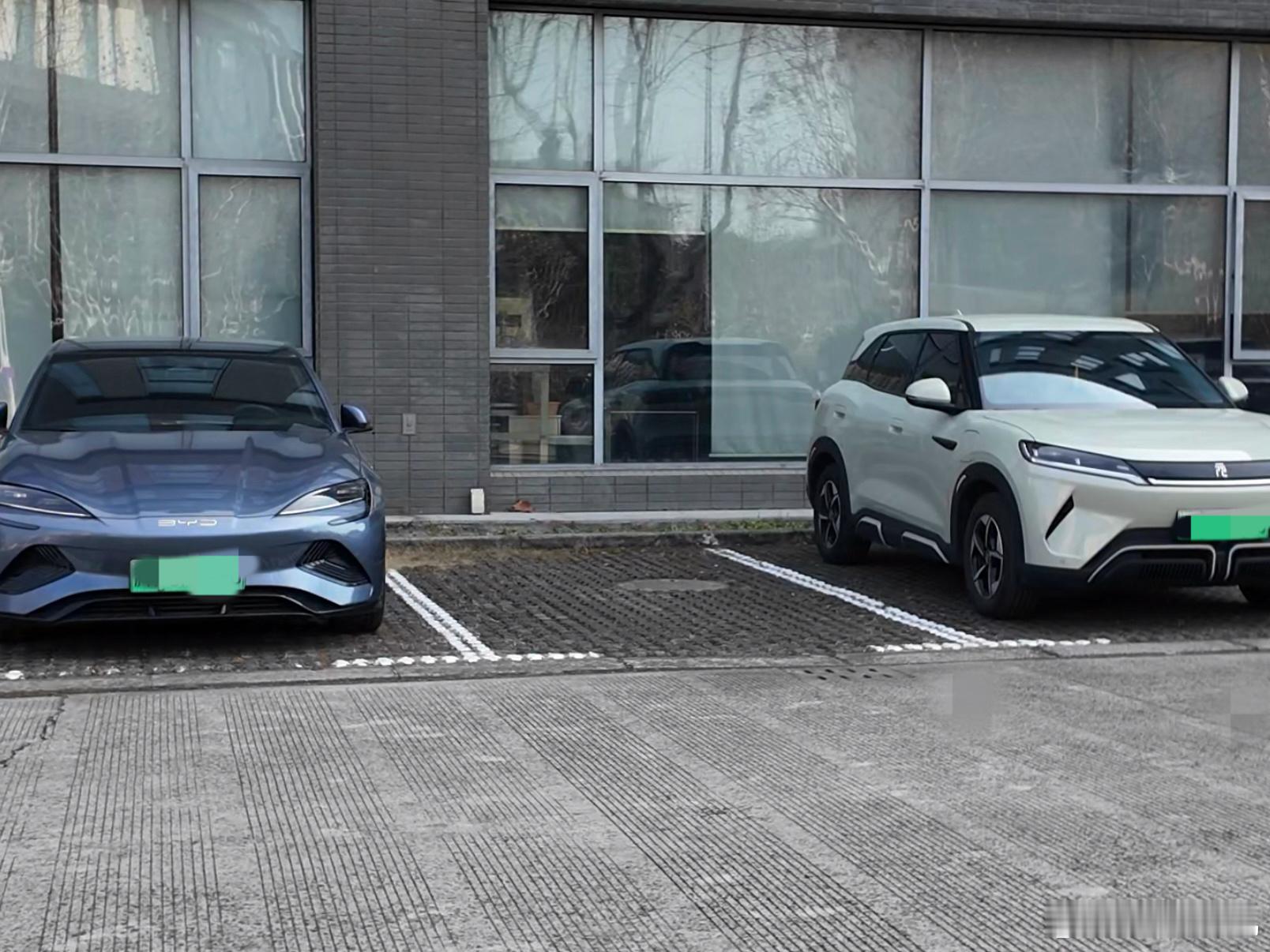 你可能会发现，在大学校园里，新能源车的占有率非常高，尤其是比亚迪，真的随处可见，