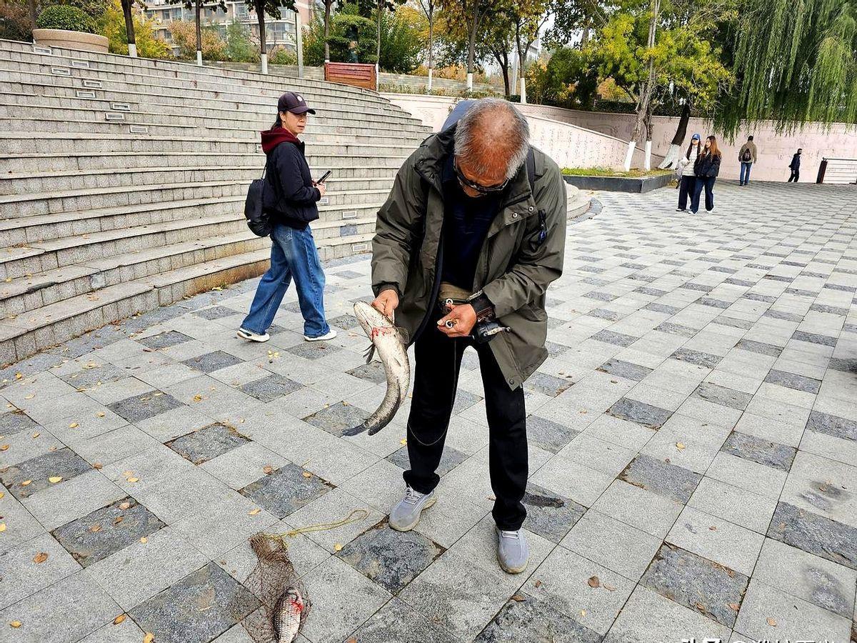 “放生”的甲鱼，转头就被钓走，尴尬不？

老丁在潍坊白浪河天天“爆护”，围观群众