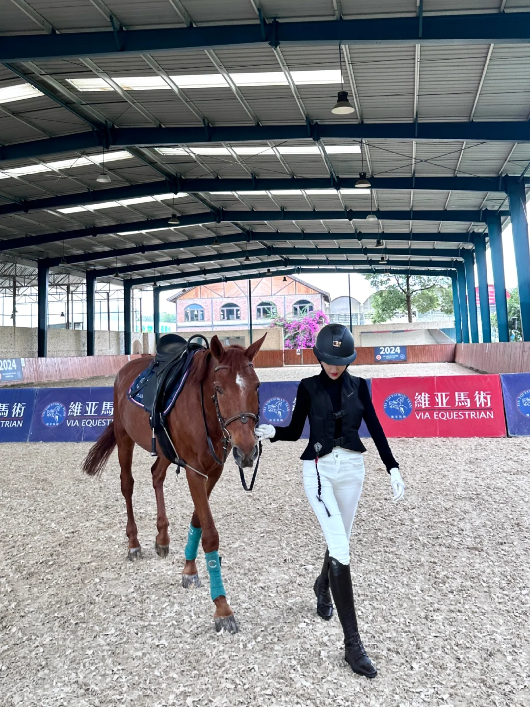 成都马术｜当你完全信任它 🐎