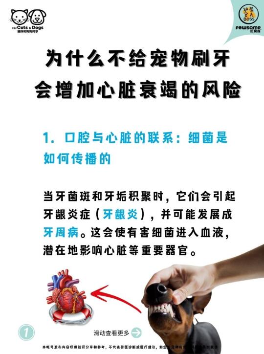 为什么不给宠物刷牙会增加心脏衰竭的风险