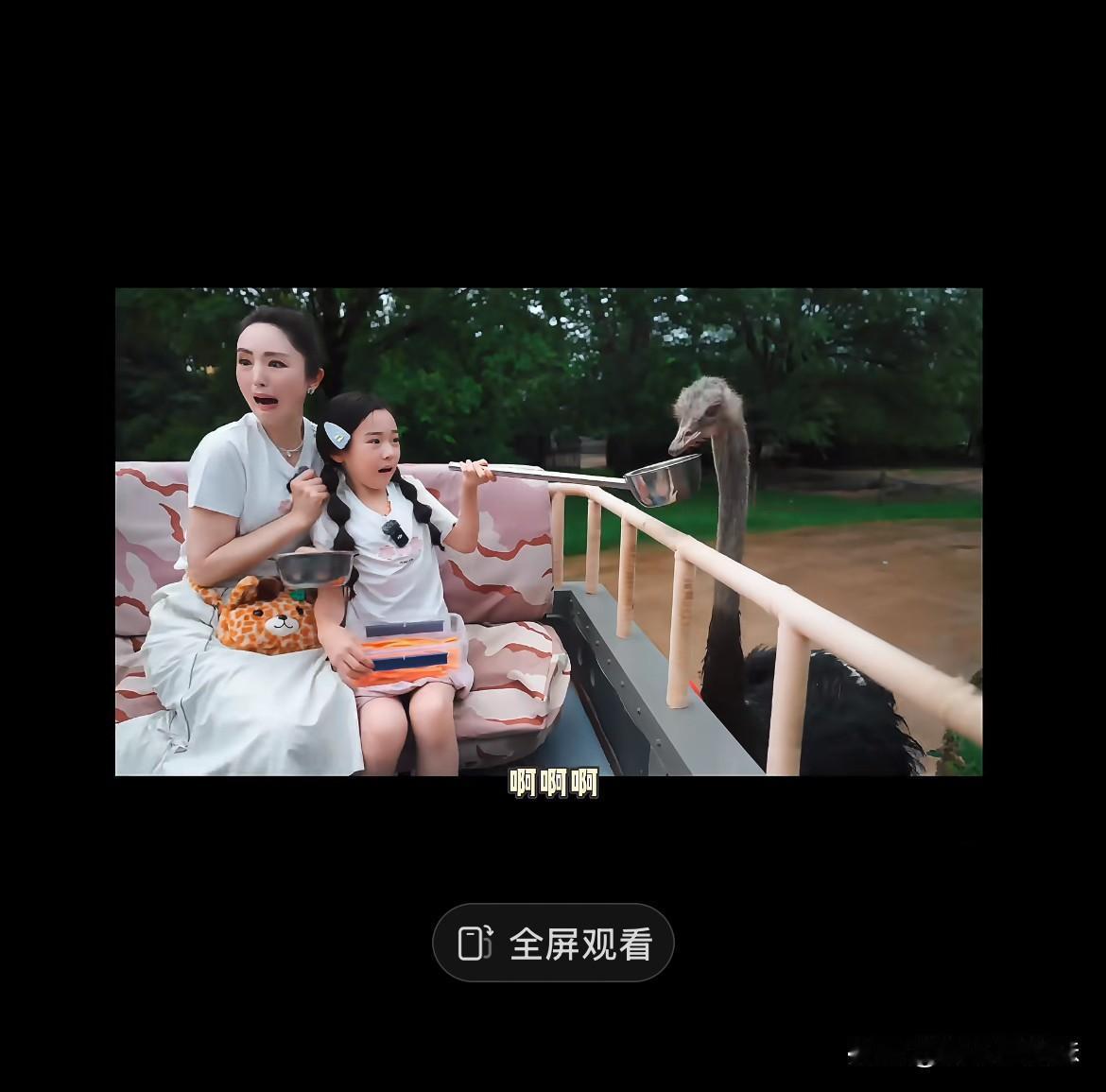 小酒窝董璇母女俩太可爱了😍！
，小酒窝被狮子🦁吓哭，董璇被鸵鸟吓得花容失色…