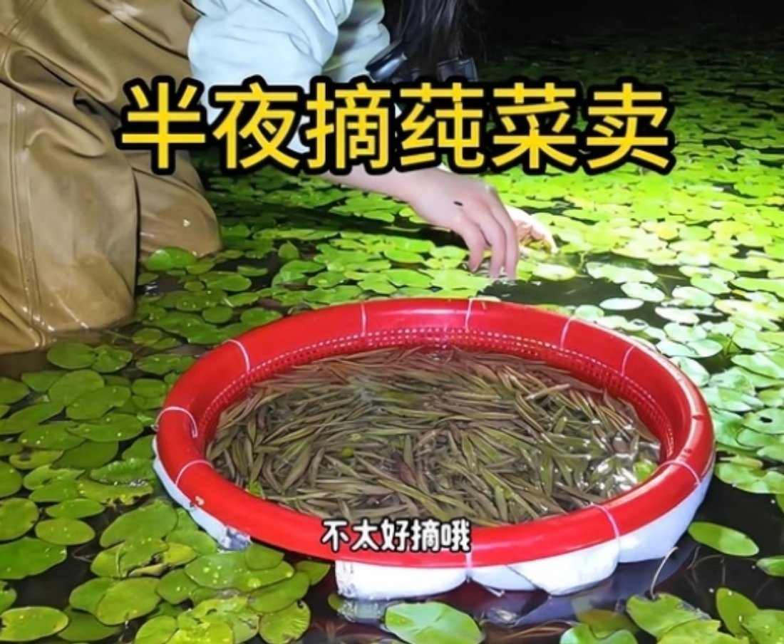 看到就想到林晏爱吃，林晏家乡的味道 
