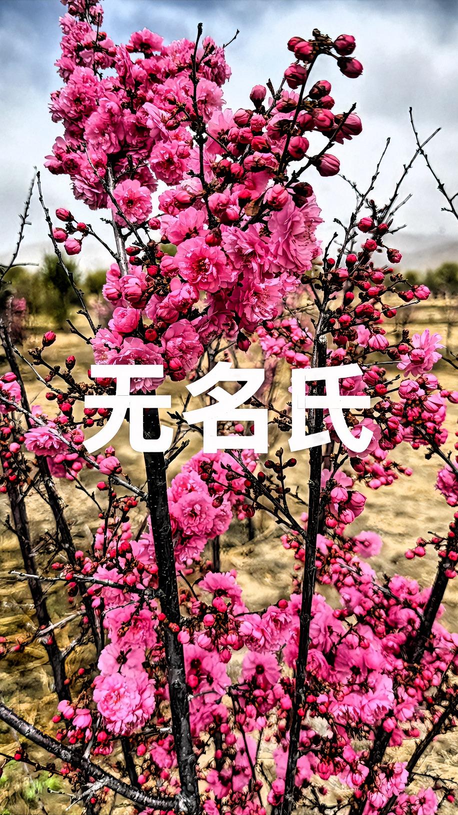 今儿状态那叫一个惬意！外面阳光灿烂，暖烘烘的光线洒在身上，别提多舒坦了。
我出门