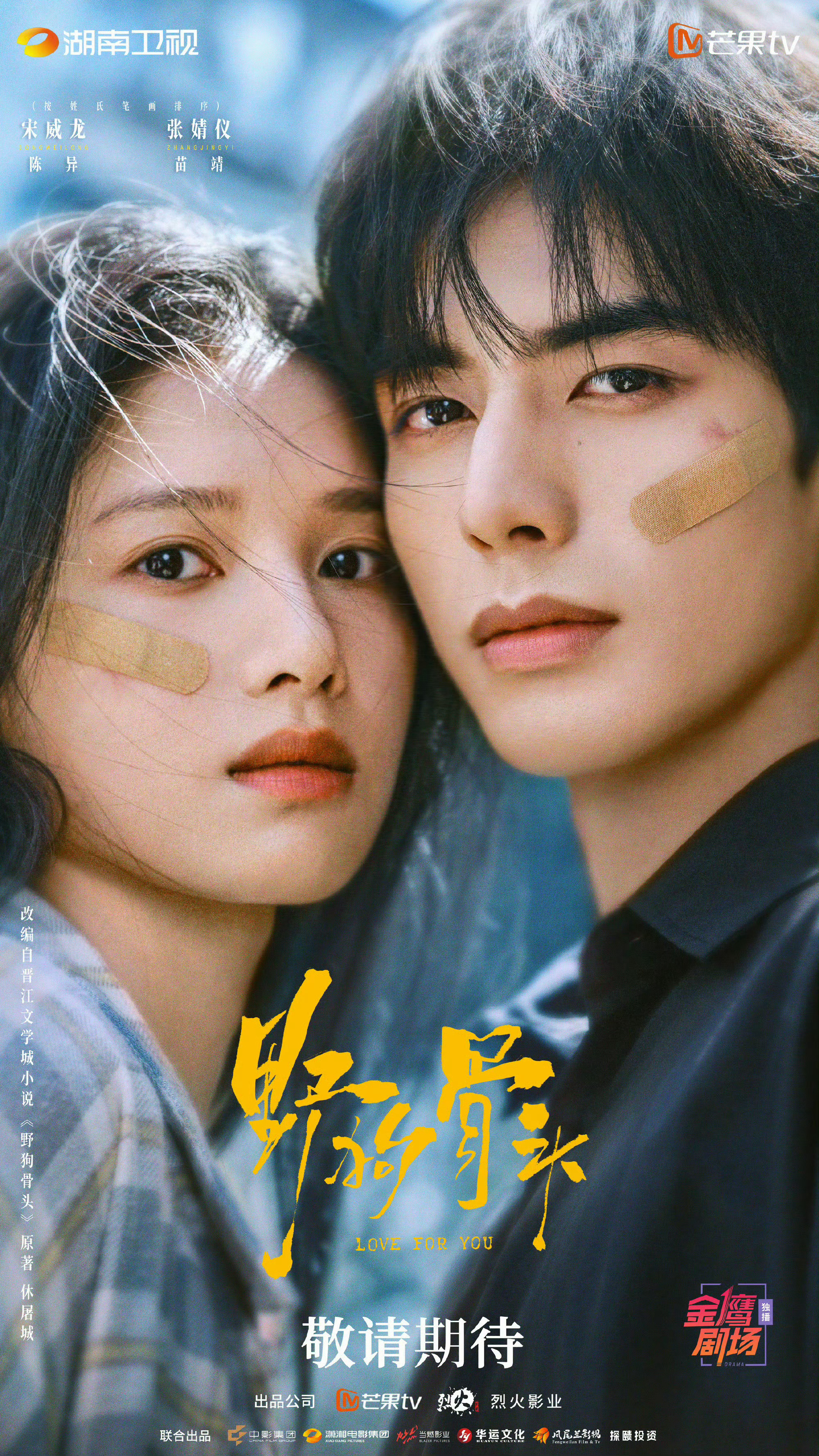 同档对打！虞书欣《灿如繁星》vs张婧仪宋威龙《野狗骨头》，你押谁爆？ 