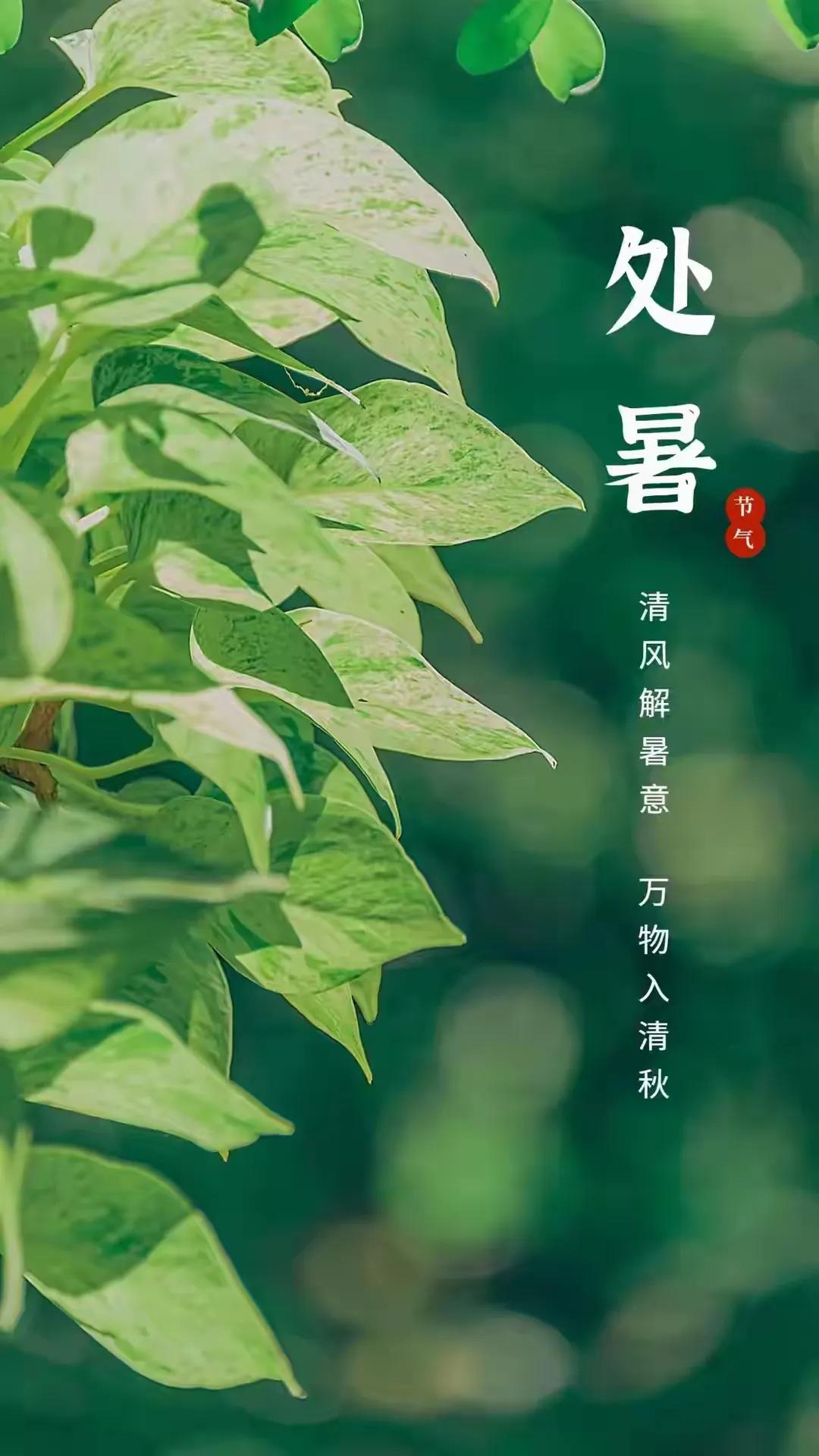 今日处暑！处暑准确时间是：上午10点18分46秒。处暑=出暑，俗话说：早处暑凉飕
