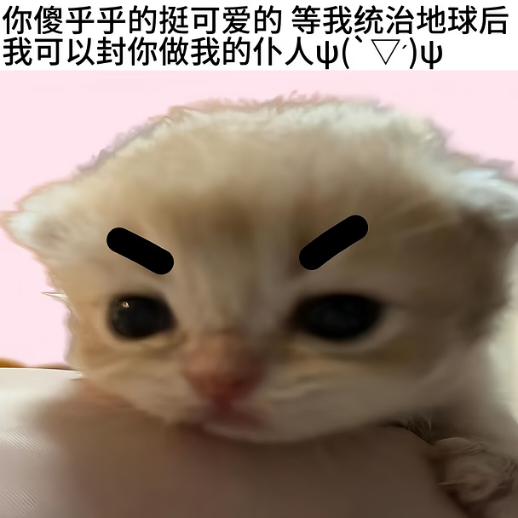 𝐀𝐯𝐚𝐭𝐚𝐫｜审咪积累 喵 小猫呆呆的 像你一样=ω= 