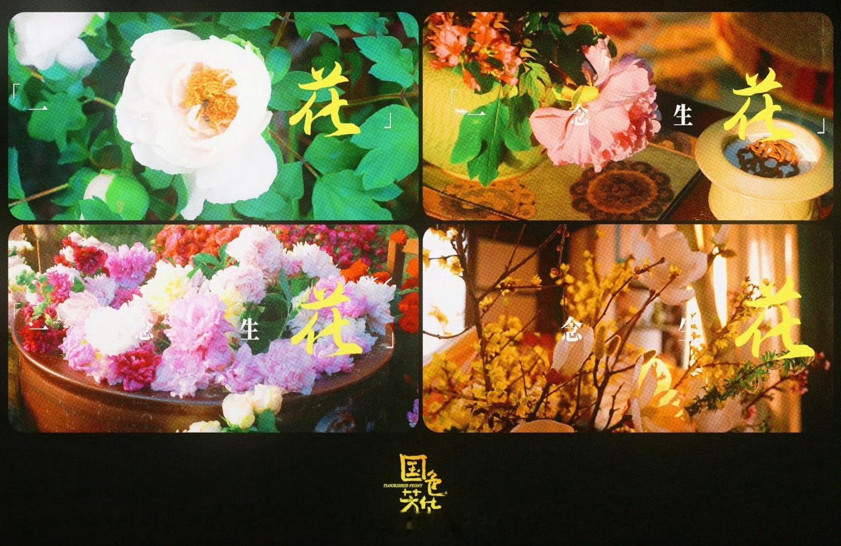 #国色芳华要动了# 太期待了，快快快点来[爱慕] ​​​