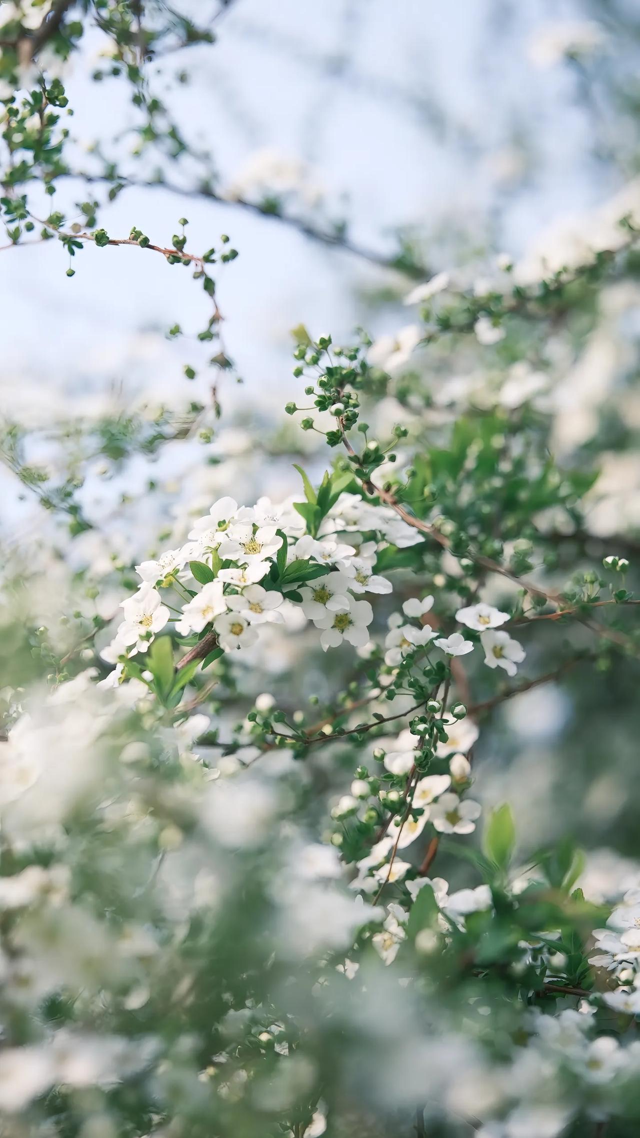 你瞧瞧，这世界上有多少“火药桶”，又是谁在暗中布置？大家原本可以安安稳稳地发展、