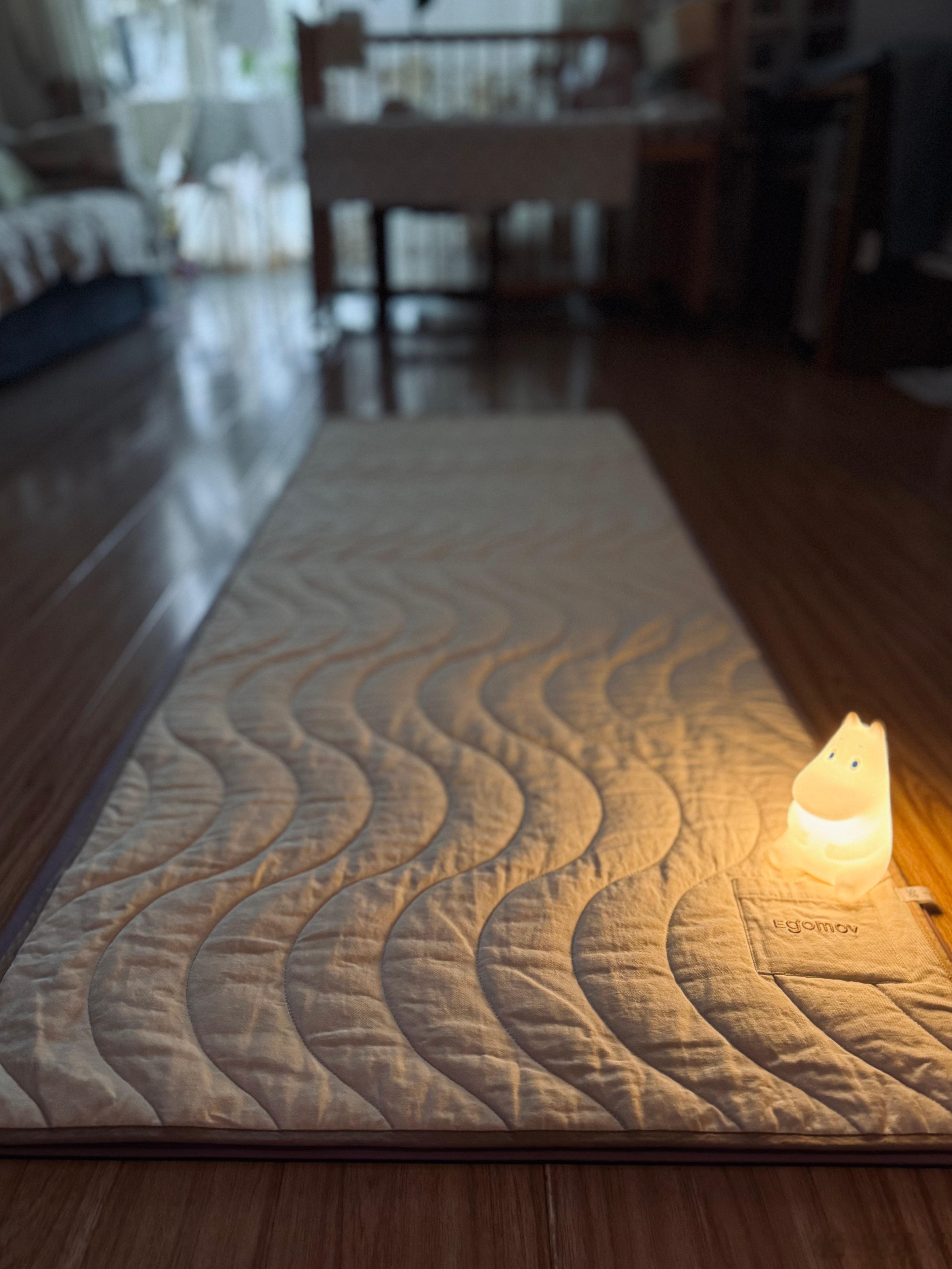 今年唯一开发的垫子就是这条纯棉瑜伽垫。合作的厂家是一个棉服厂家，人家从来没做过瑜