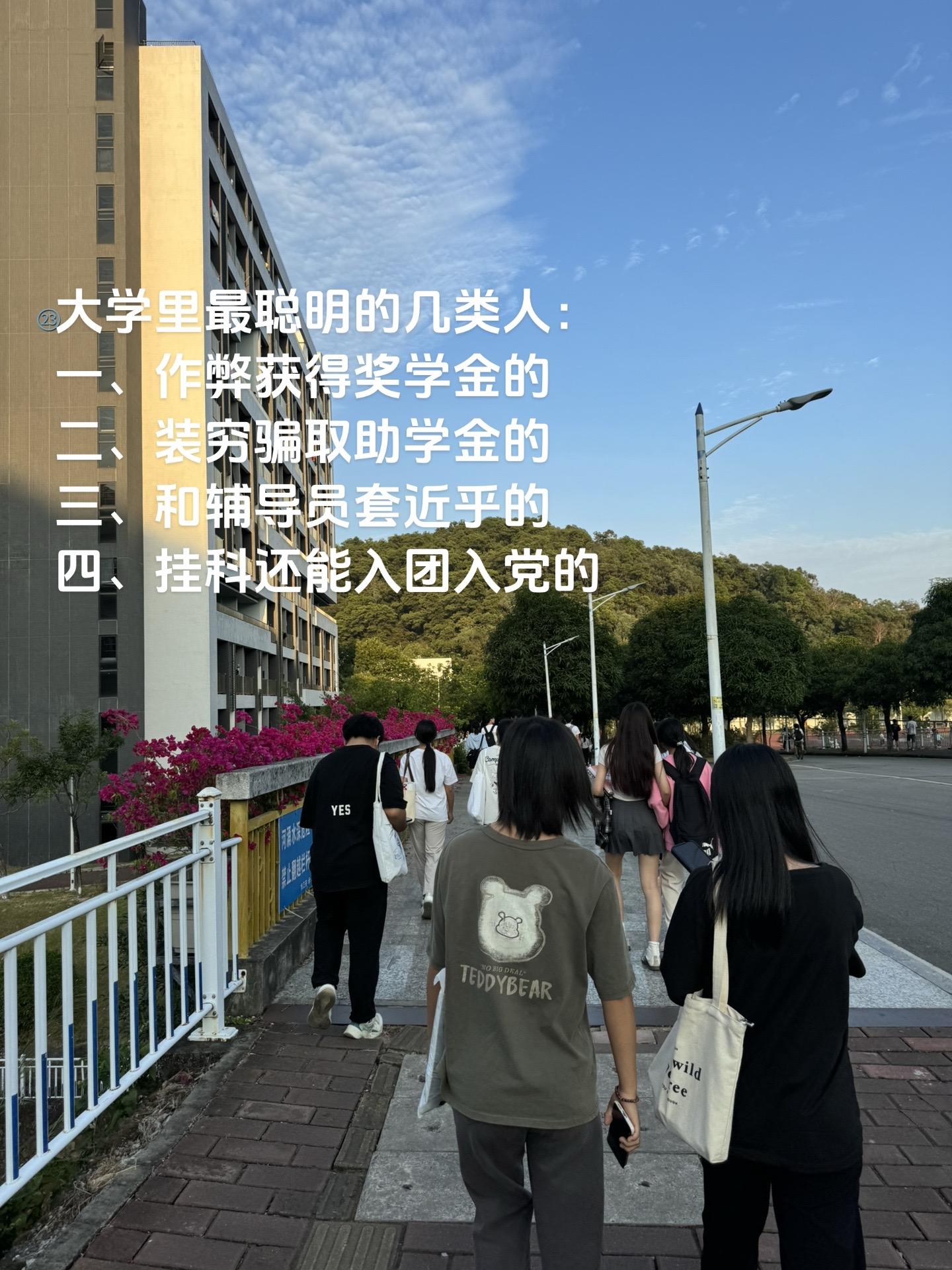 大学里最聪明的几类人