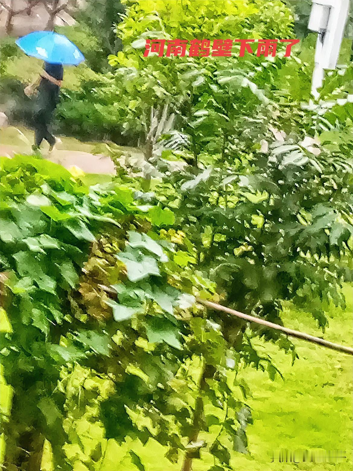 鹤壁降雨了，外出的朋友请千万注意出行安全！
 
此刻河南鹤壁阴雨不断，大大小小的