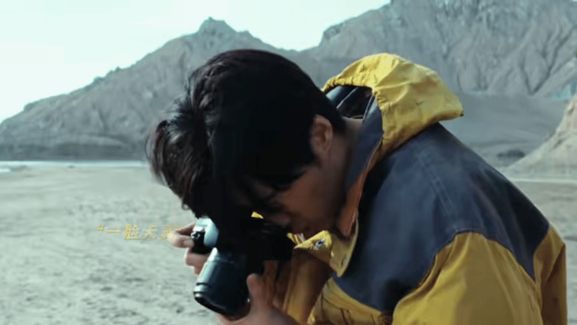 倒霉熊没停播来生命树了 发现“野生倒霉熊”出没《生命树》，代号邵云飞！张哲华把这