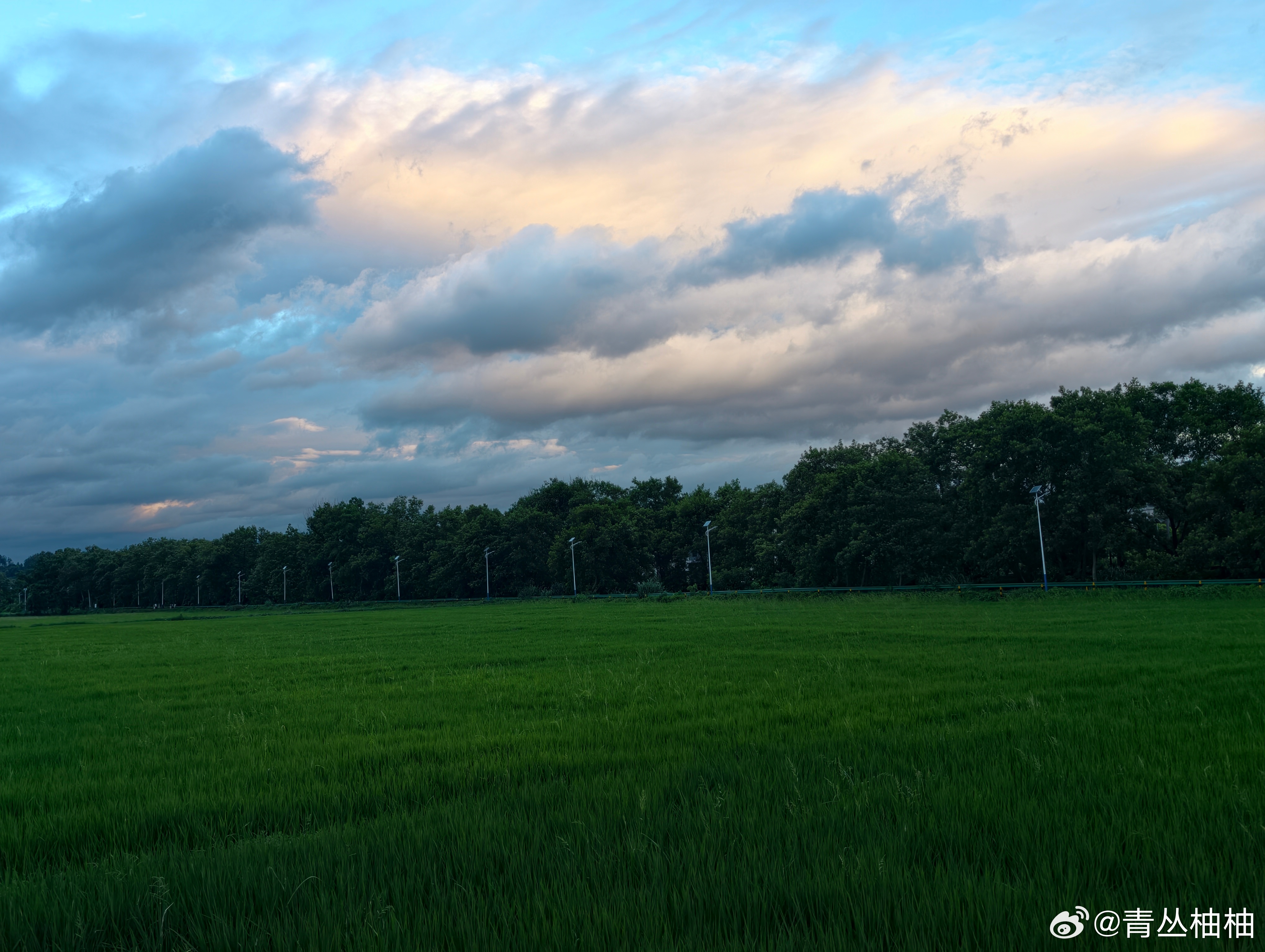 云☁在风里随心所欲~ 