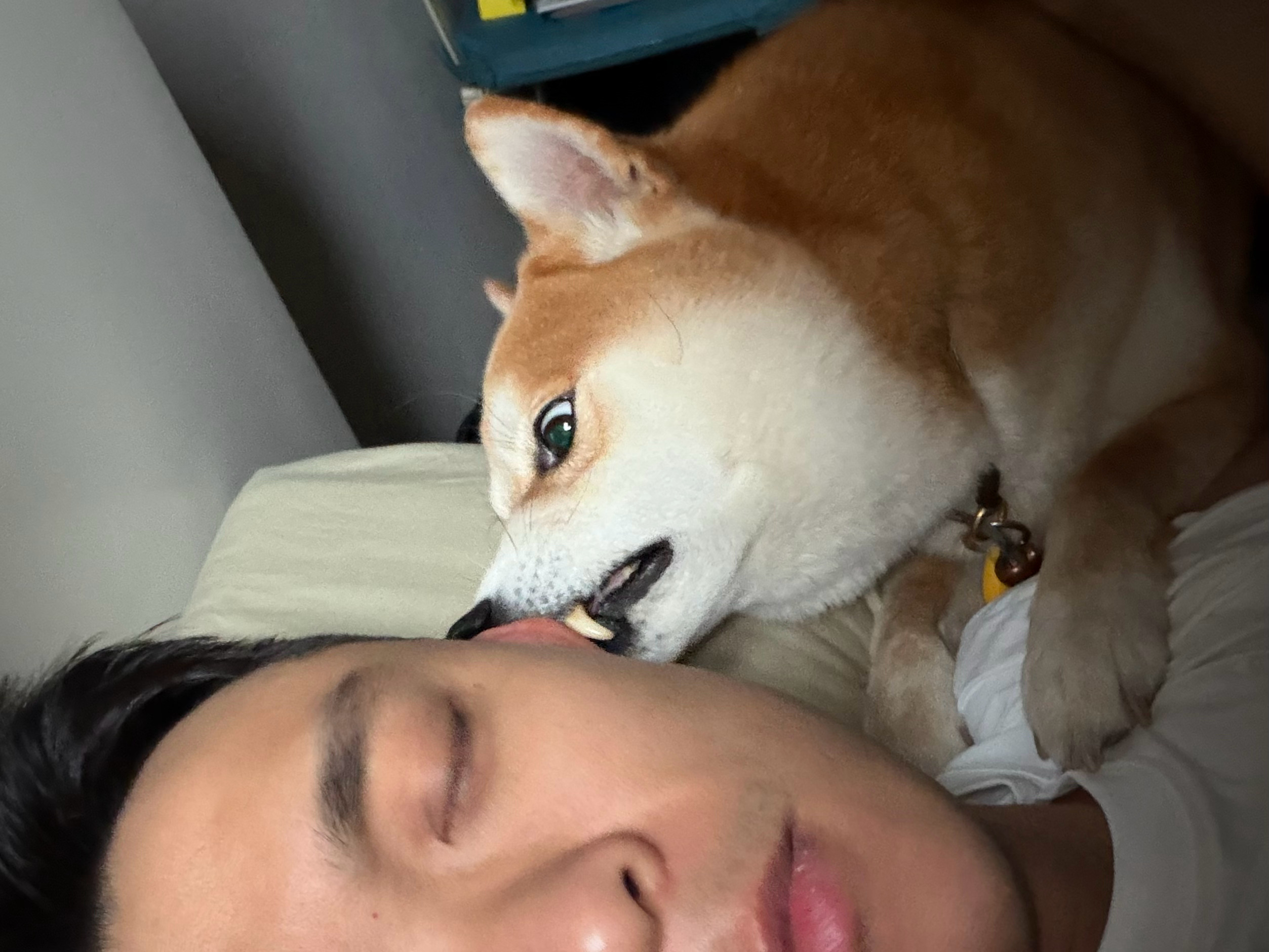 每天都有小甜甜叫你起床 