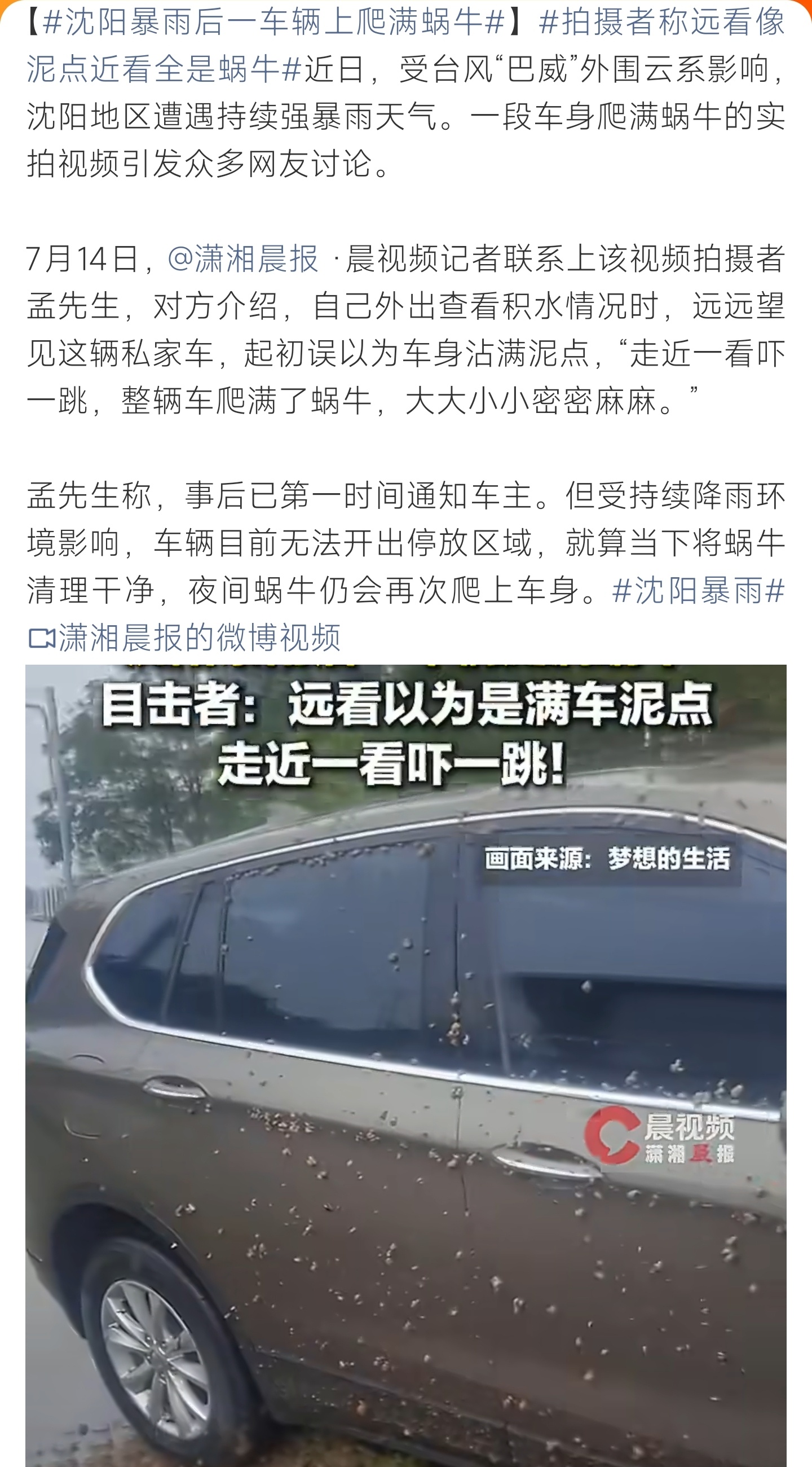 沈阳暴雨后一车辆上爬满蜗牛沈阳遭台风外围暴雨侵袭，私家车爬满密密麻麻蜗牛，远看酷