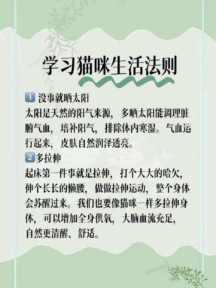中醫：气血不足，要像小猫一样生活 