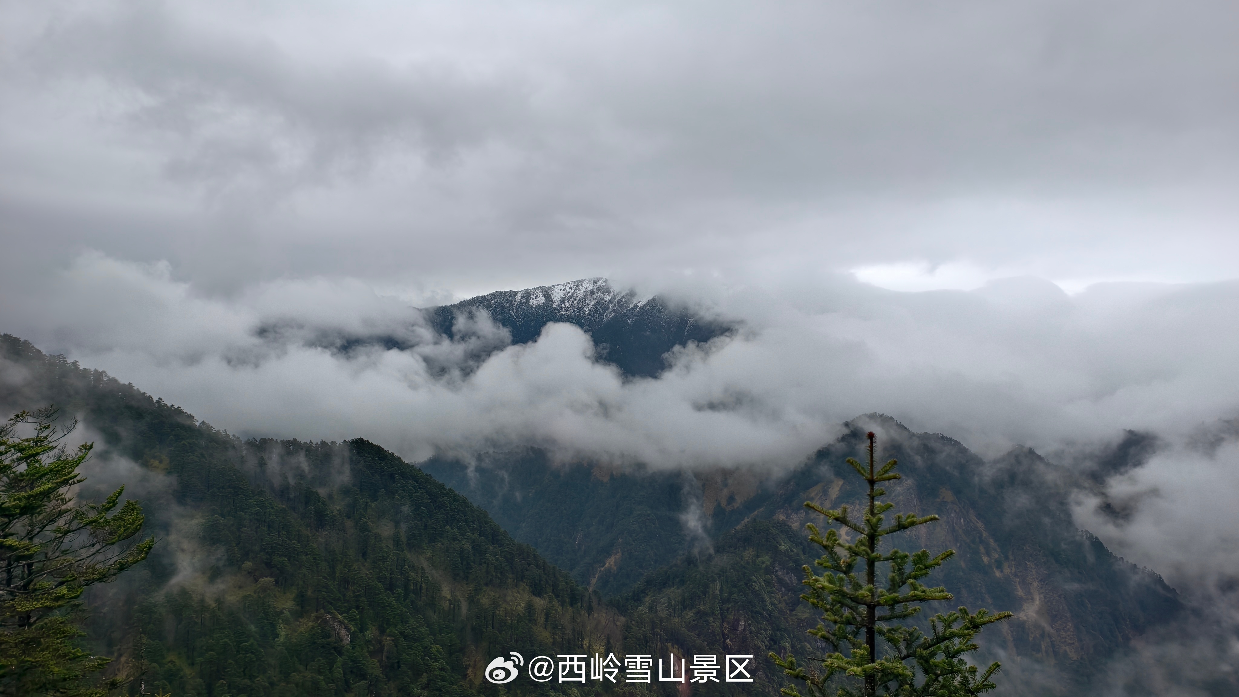 雪顶云岫两依依，万壑松涛风自起。#西岭雪山 #