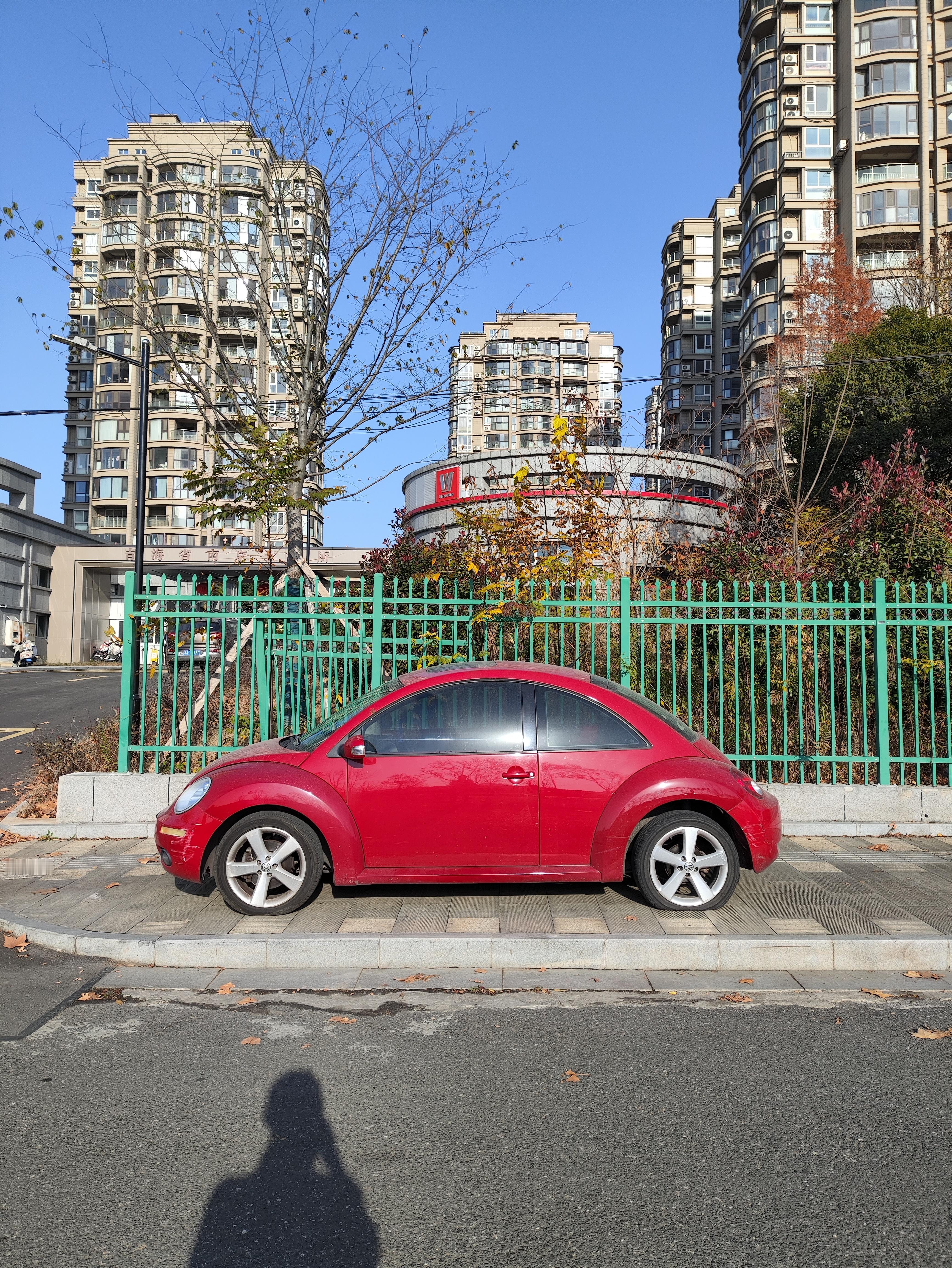 图片，昨天跑步路上遇见的甲壳虫，干干净净，精精神神，就是好像停的地儿不活适，另外