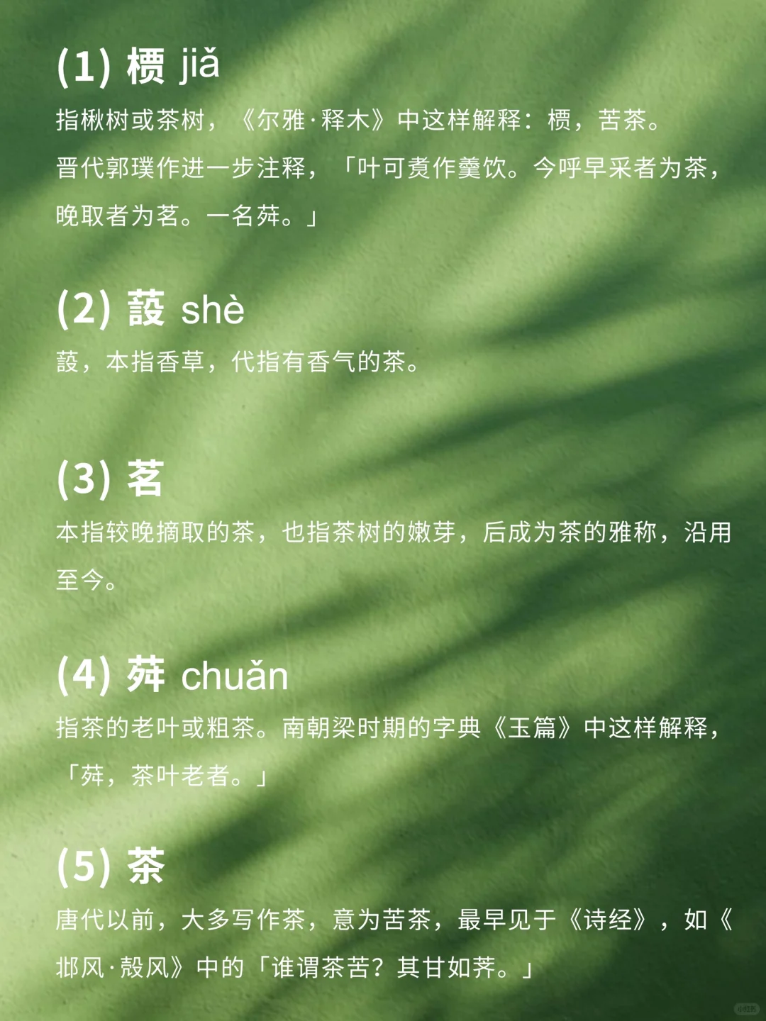 🌿中国文化通识｜茶有哪些别称？