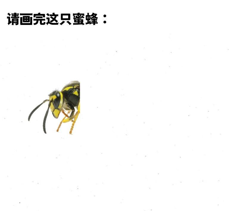大显身手的时候到了：meme ​​​