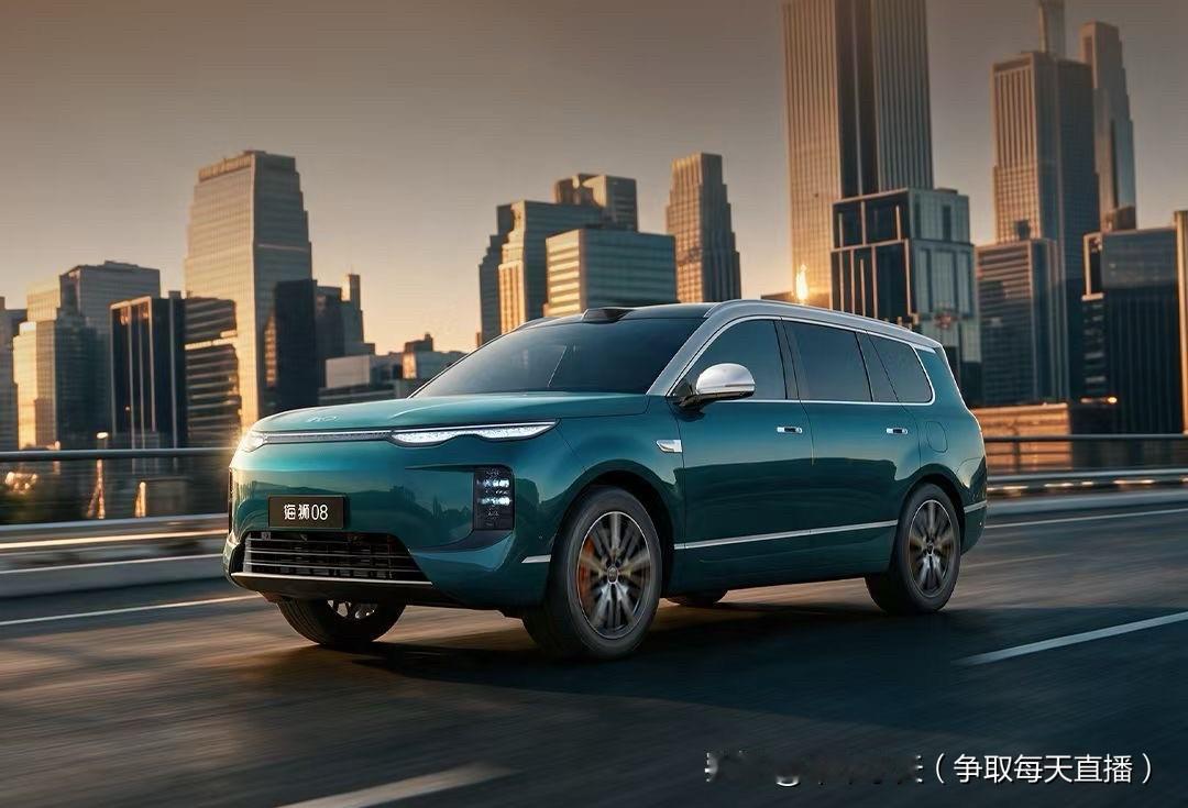 比亚迪又上市了一款新车，比亚迪海狮08。纯电版售价23.99～27.99万，插电
