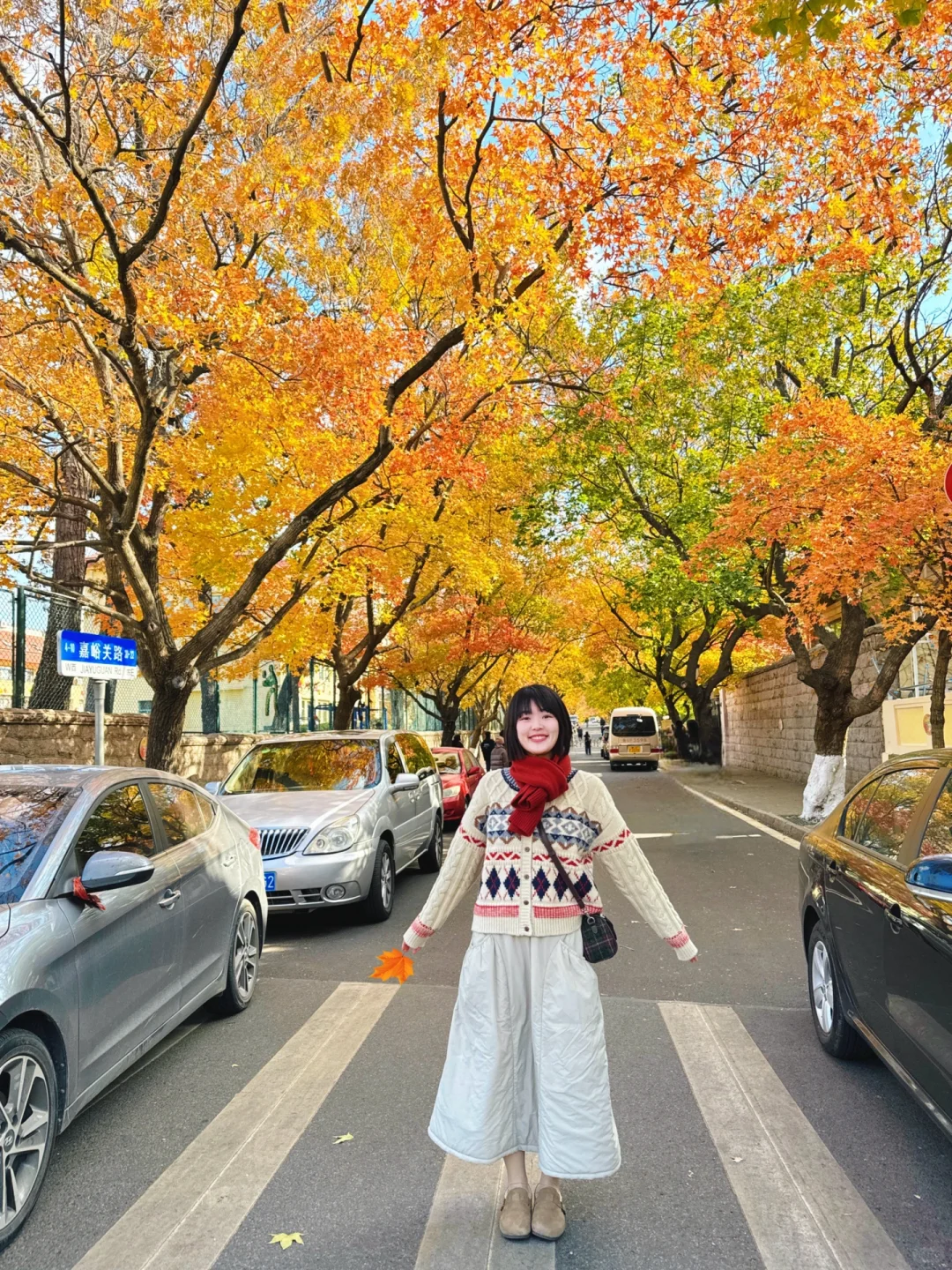 感谢青岛今年漫长的秋天‼️八大关11.24实拍