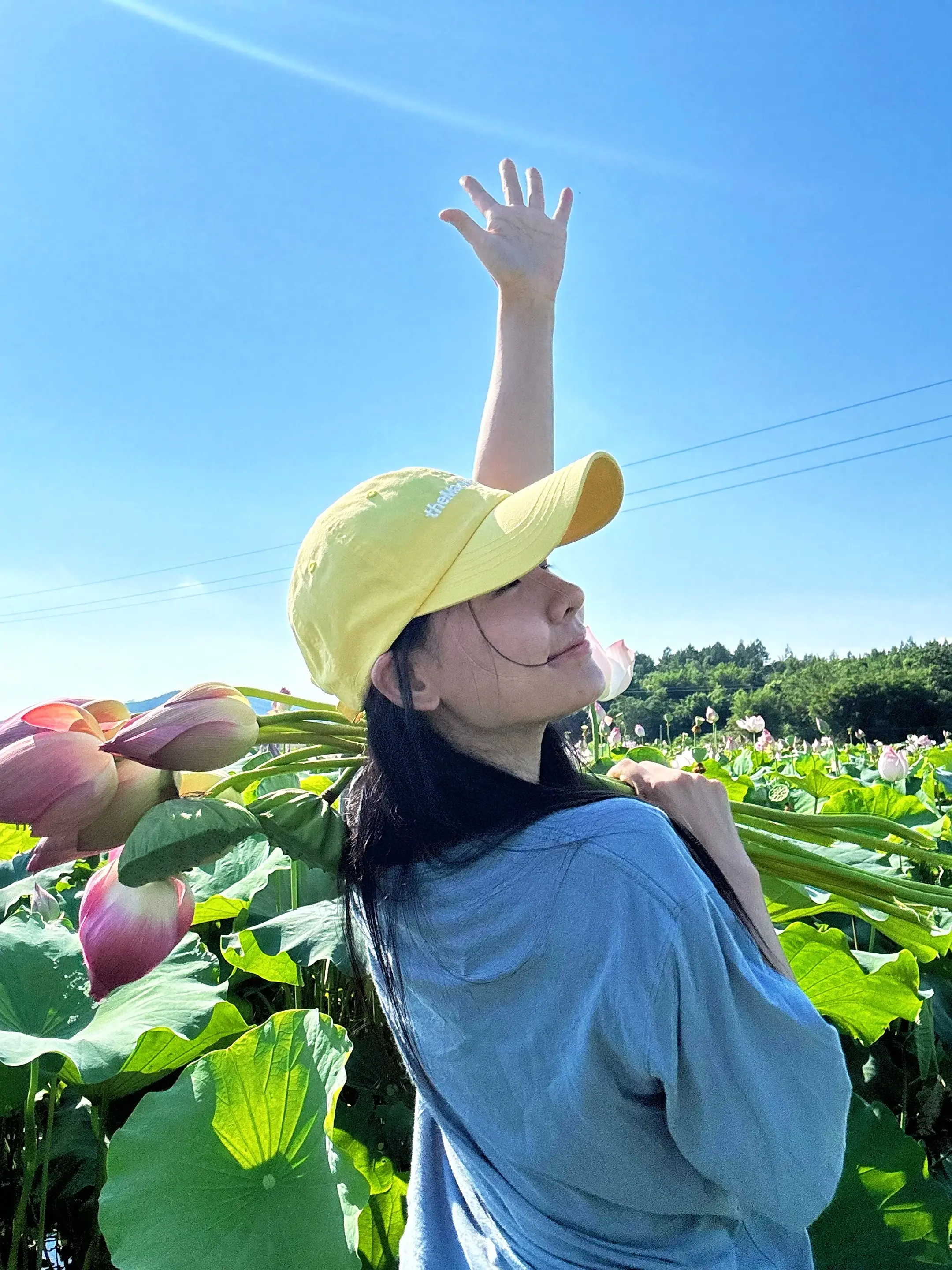 宫崎骏的夏天～☀️☀️