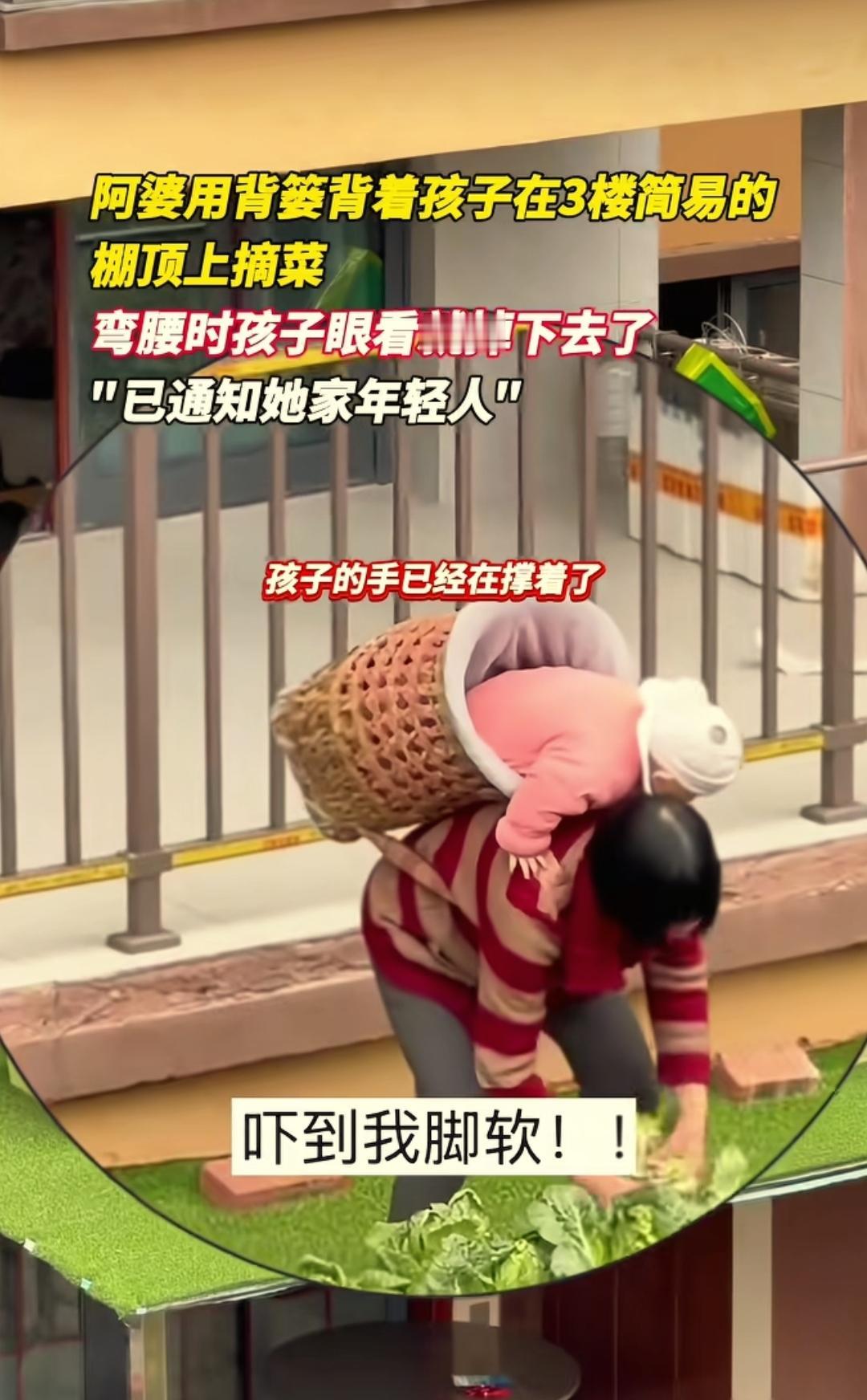 这一幕看得人胆颤心惊的。
重庆一老人用背篓背着孩子，在三楼简易的棚顶摘菜。她弯腰
