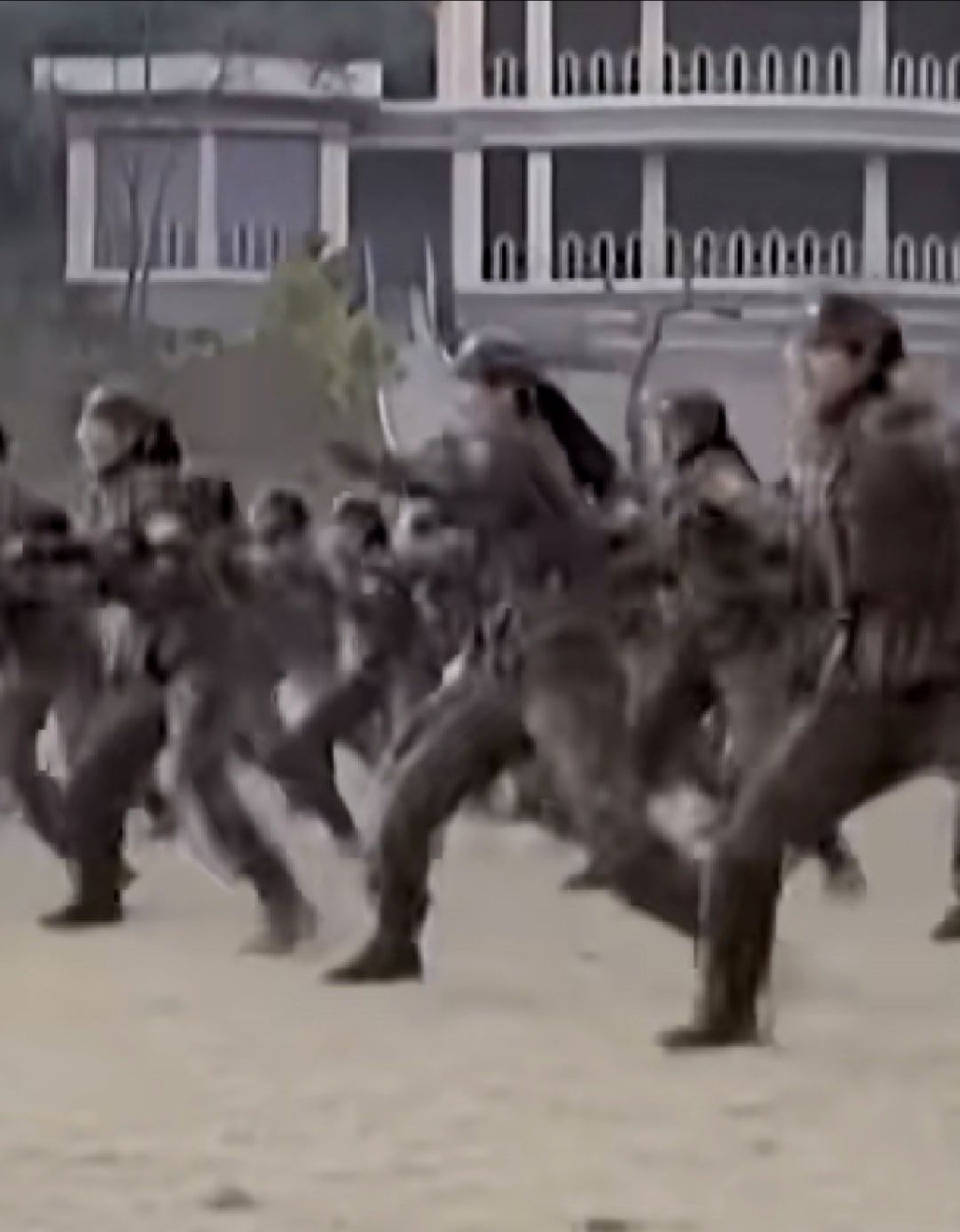 战斗力爆棚！军事 【朝鲜🇰🇵金正恩视察朝军特种部队，观摩男兵胸口碎大石，女兵