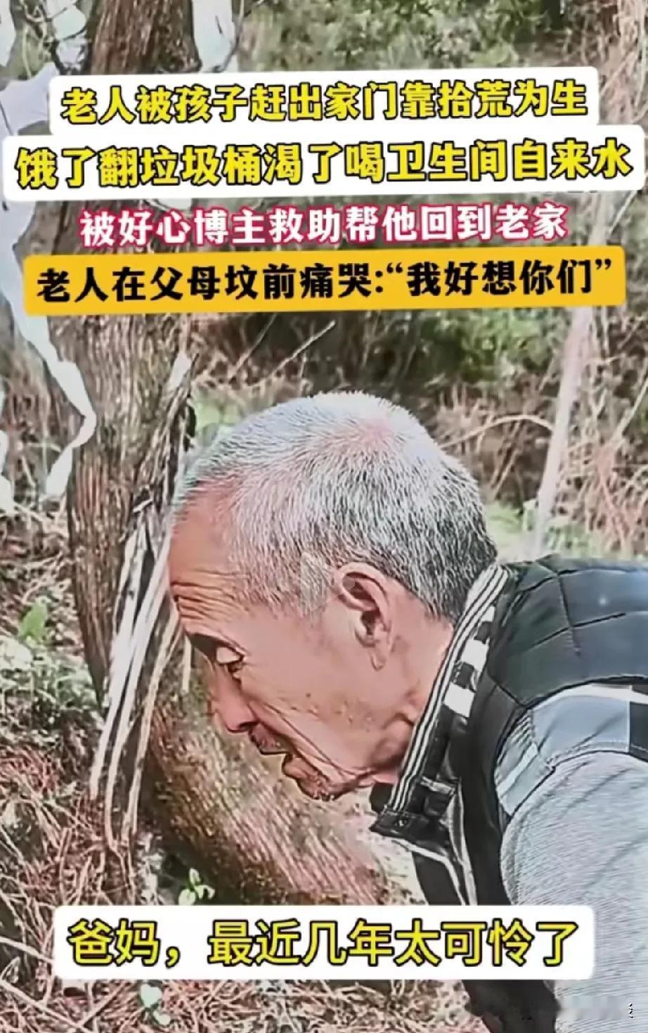 人实在是太可怜了。老人被儿子们赶出家门，无处可去，也没有吃的，没办法，只好翻垃圾