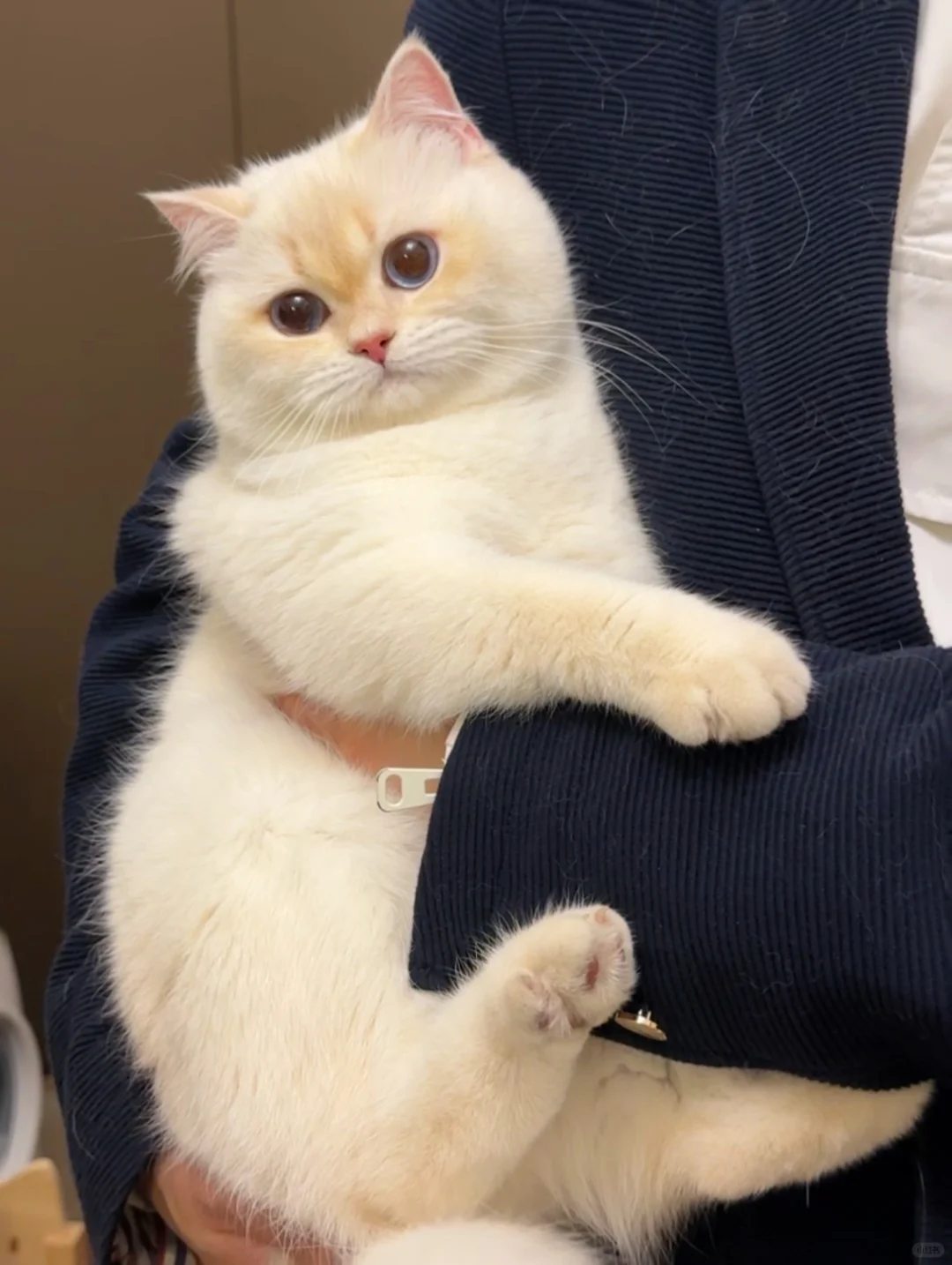 孩子看起来不太聪明 怎么办