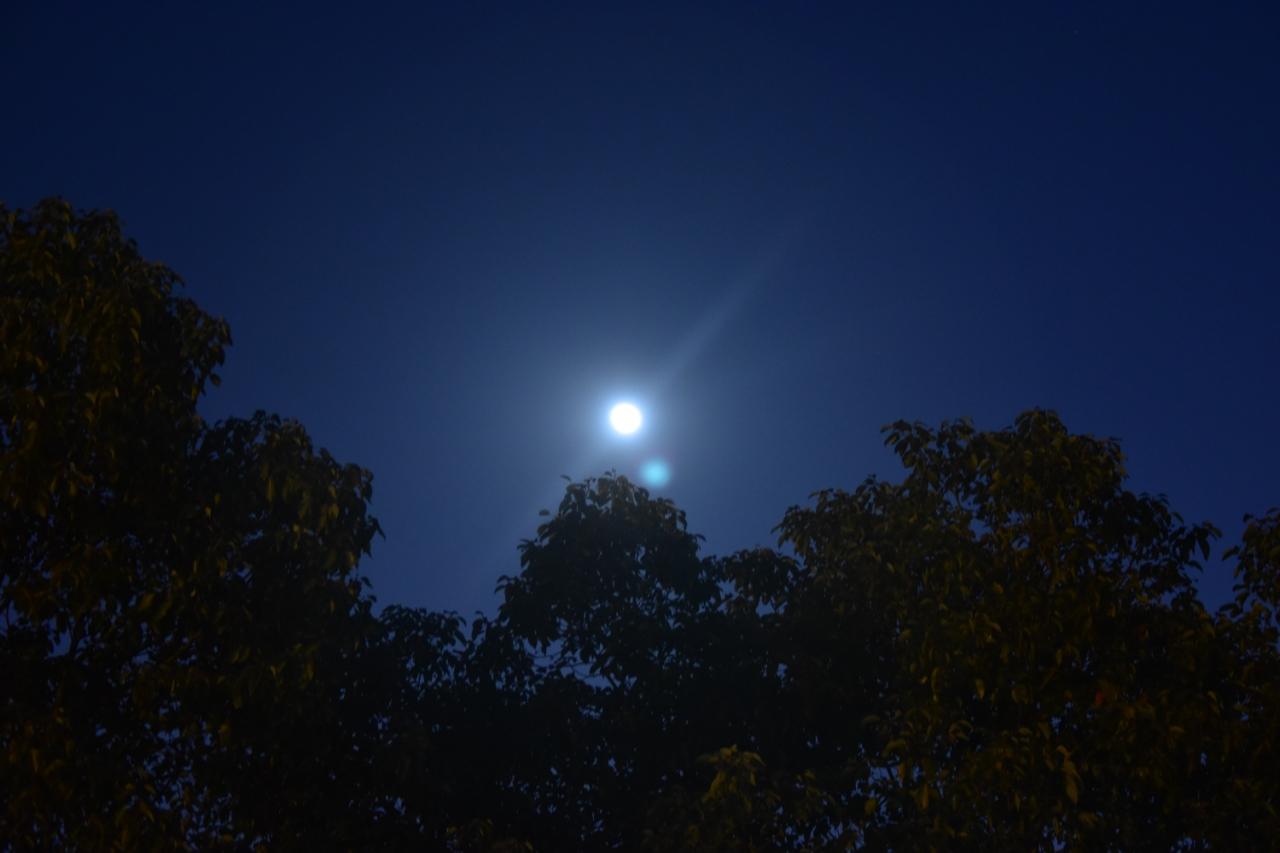 射雕：黄蓉和杨康都那么聪明，为什么没有走到一起？

看过一个最走心的答案就是：杨