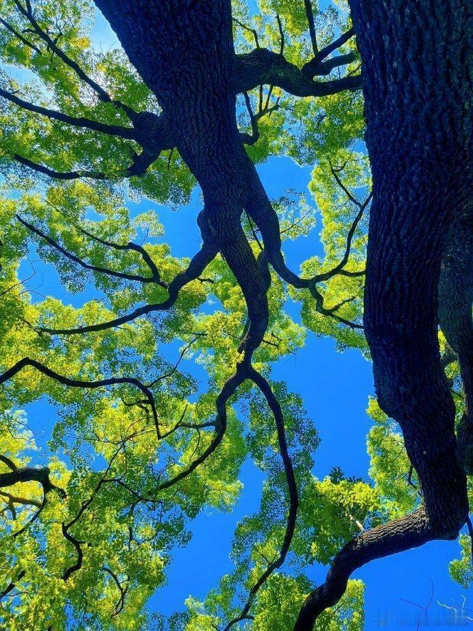 抬头遇见温柔风景，抚平积攒许久烦闷～ ​​​