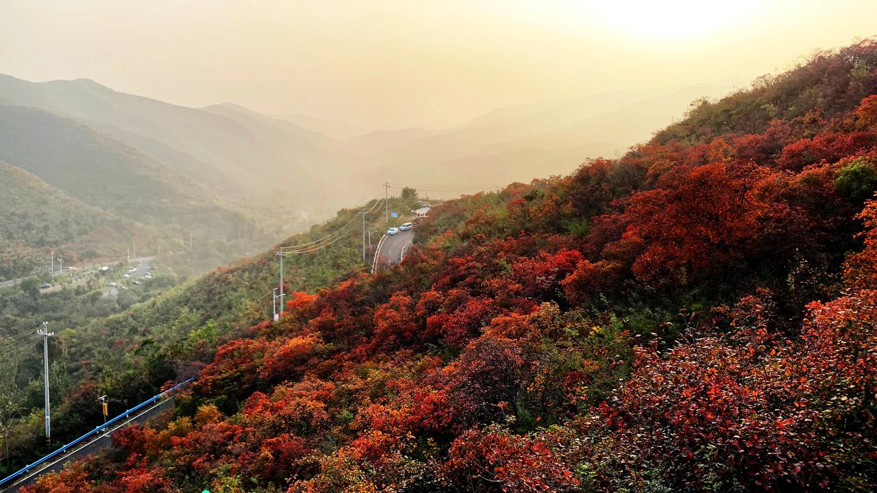 #你喜欢家乡的什么#焦作窄门红叶#焦作近郊美景# #太行红叶已上线#