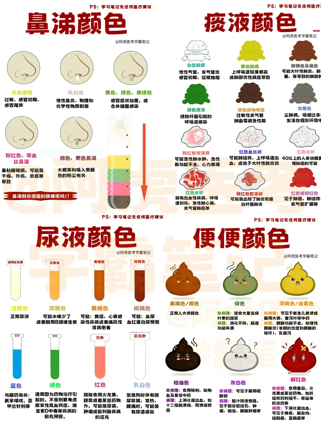 医学生笔记📒｜不同分泌物的颜色👆