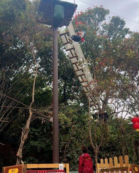 📍广州 广州龙头山森吧飞越树上探险乐园
飞越丛林，解锁勇气，森吧等你